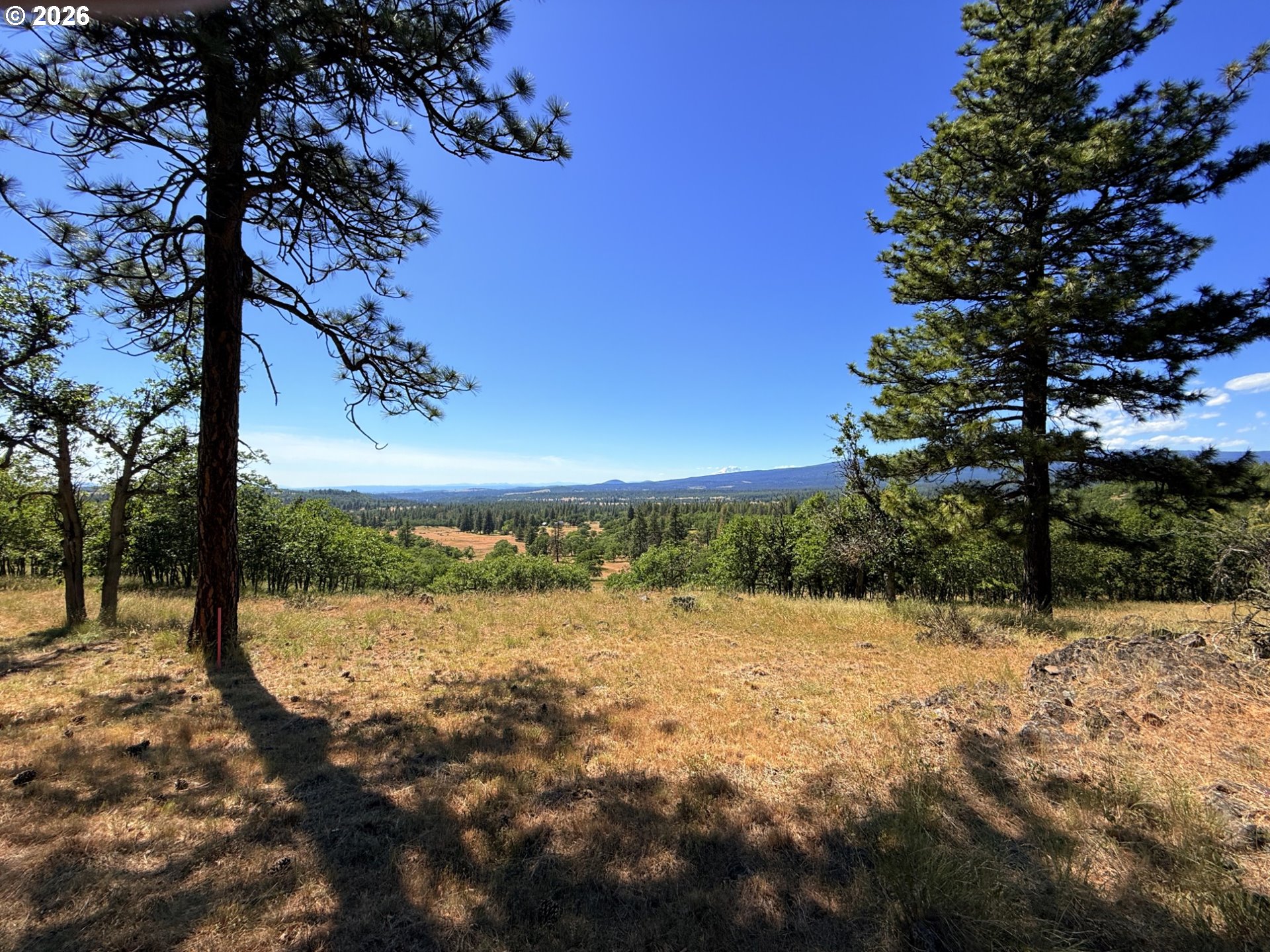 238 Chisholm RD