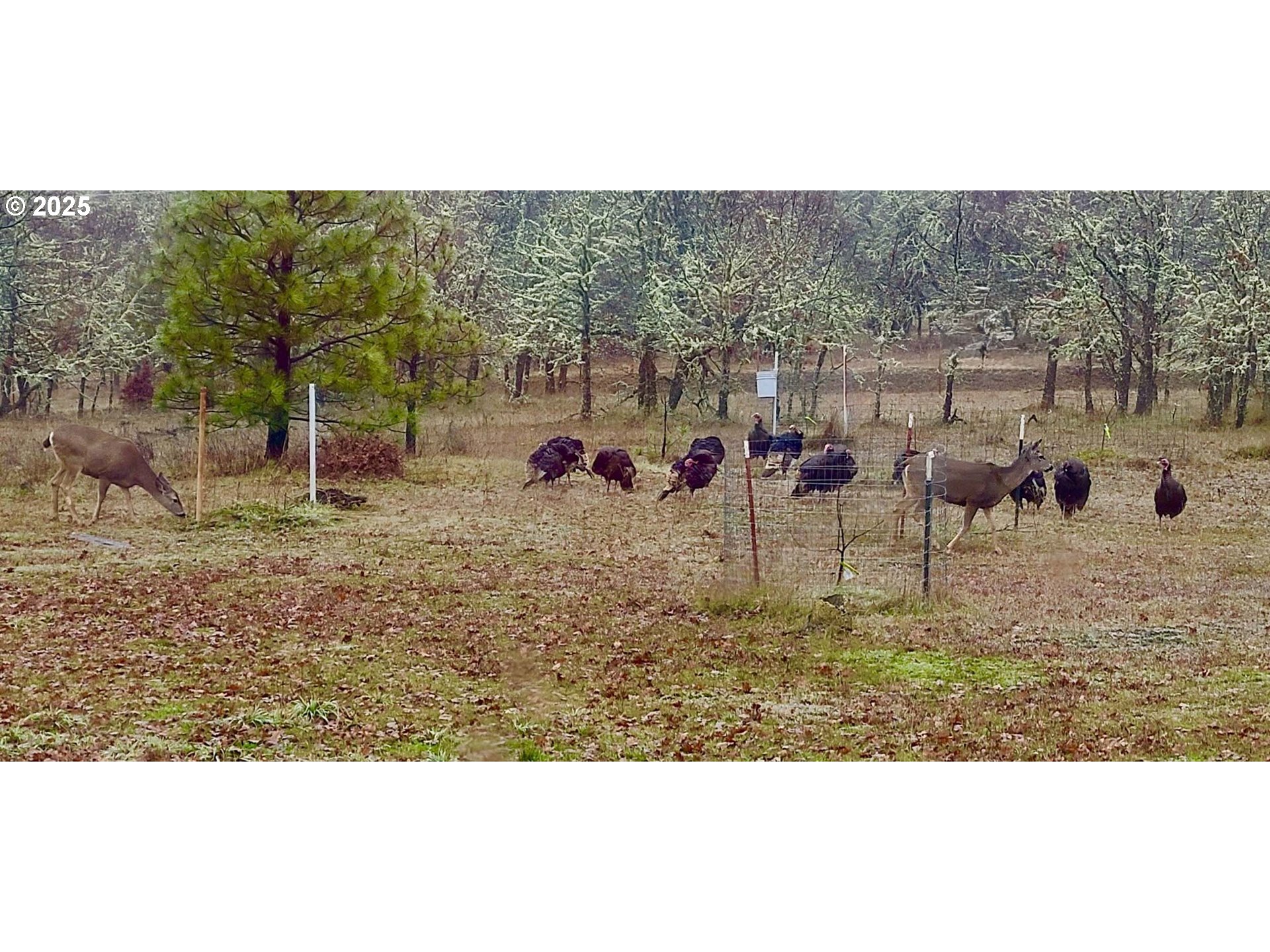 Centerville Hwy Lot3