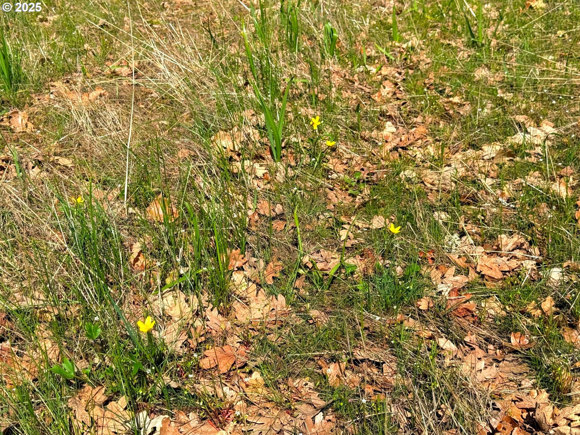 Centerville Hwy Lot3