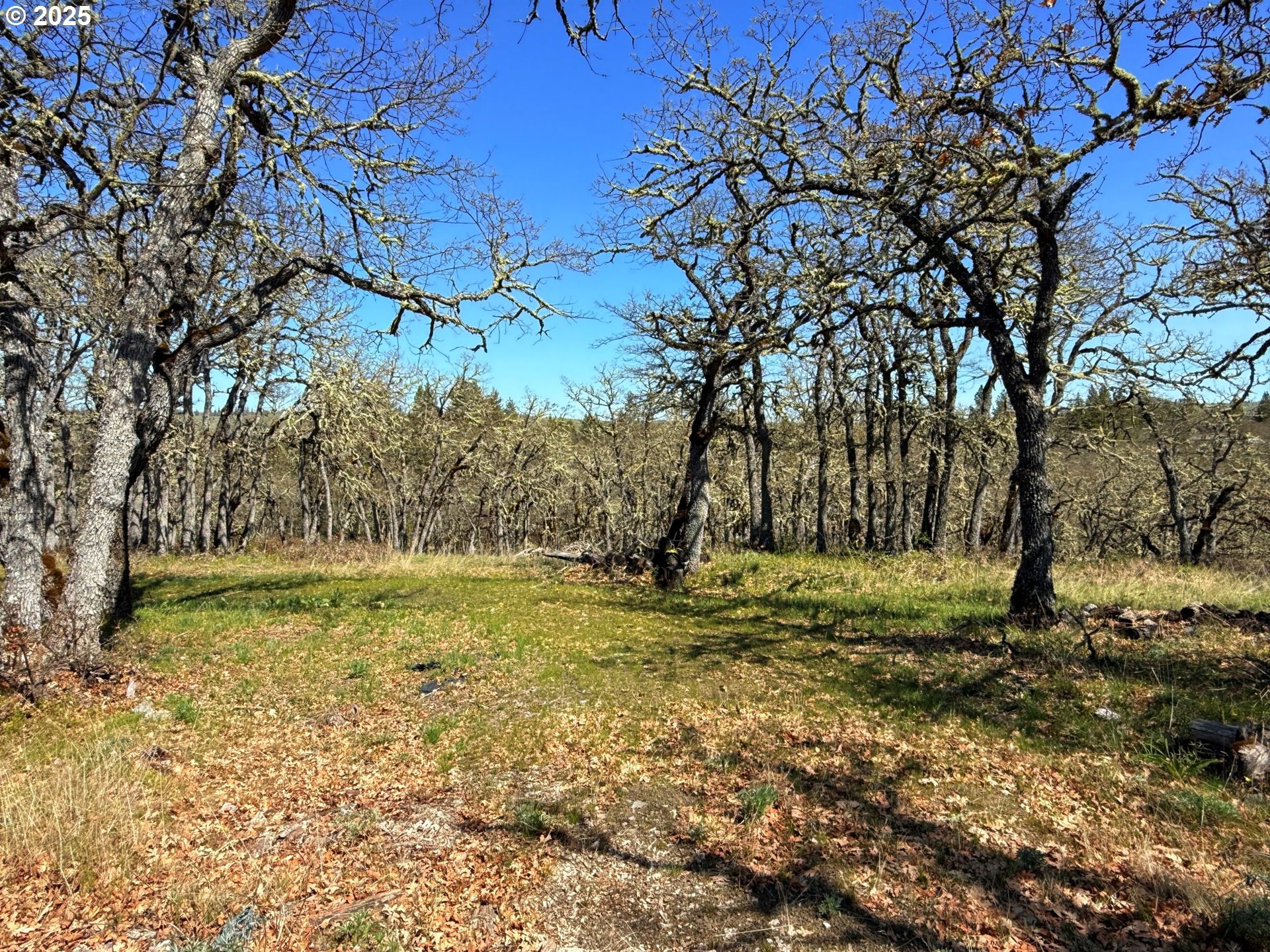 Centerville Hwy Lot3