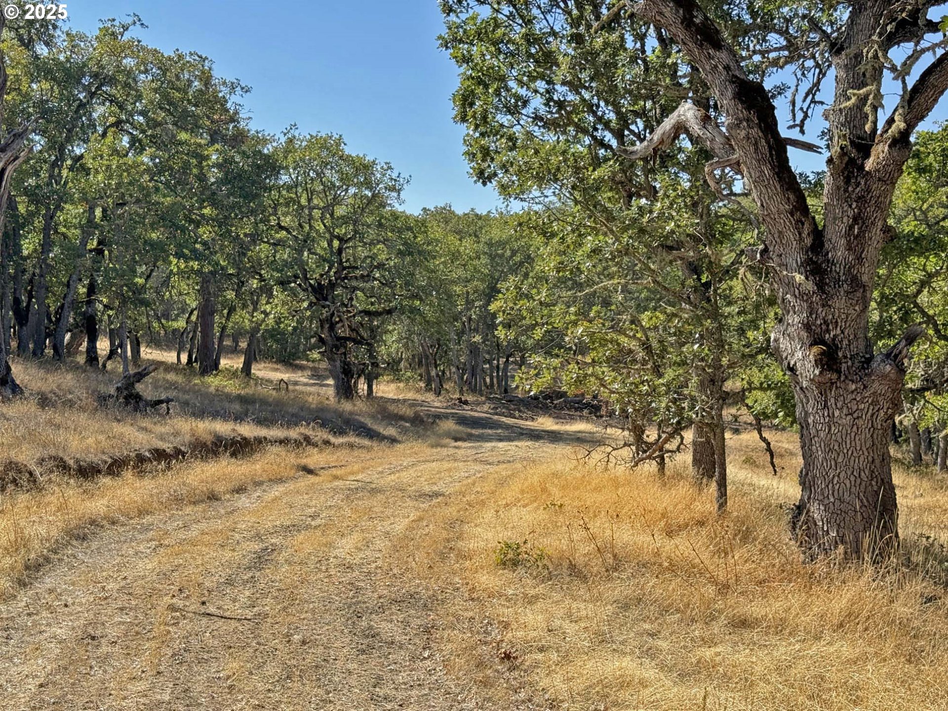 Centerville Hwy Lot3