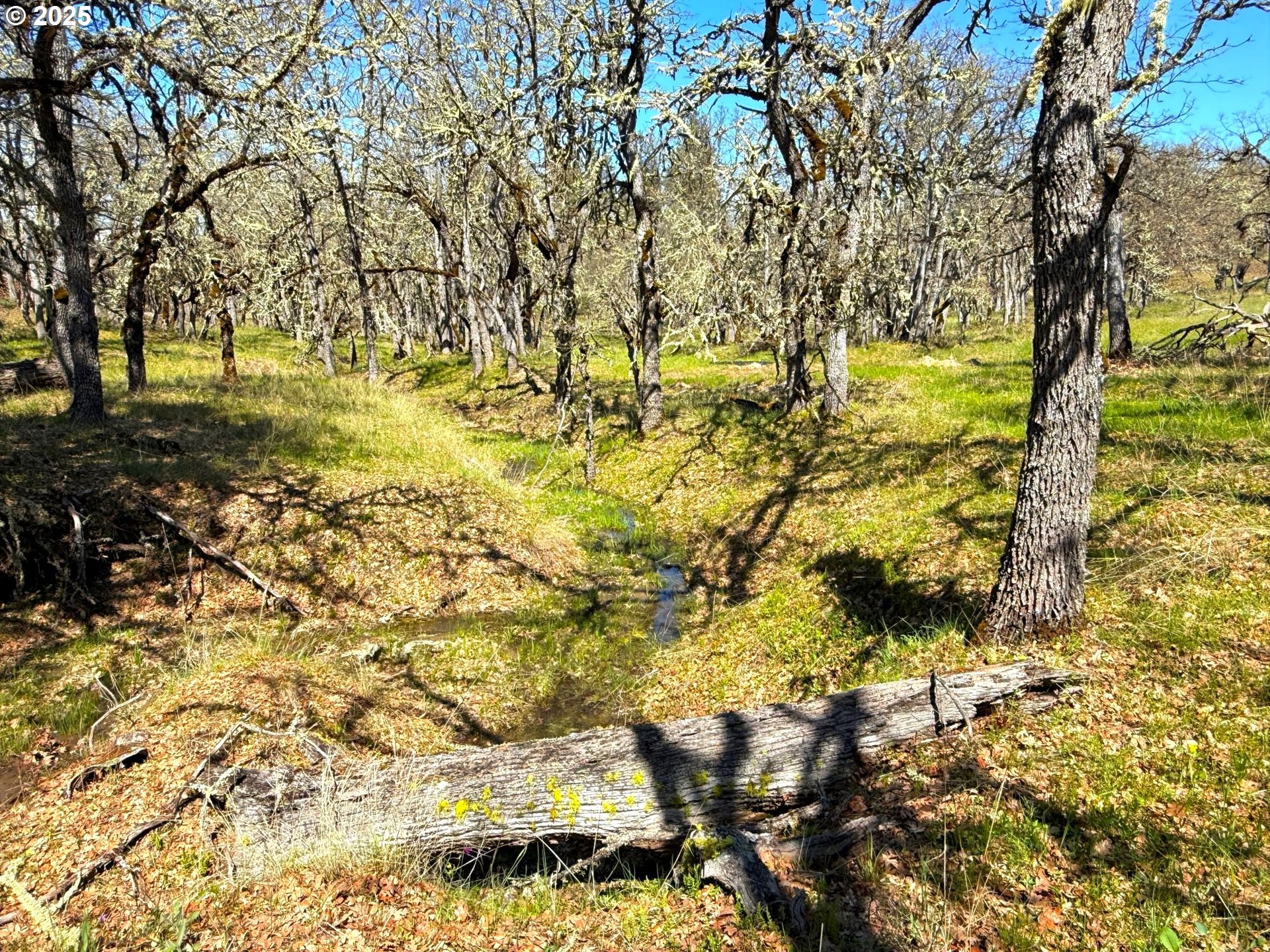 Centerville Hwy Lot3