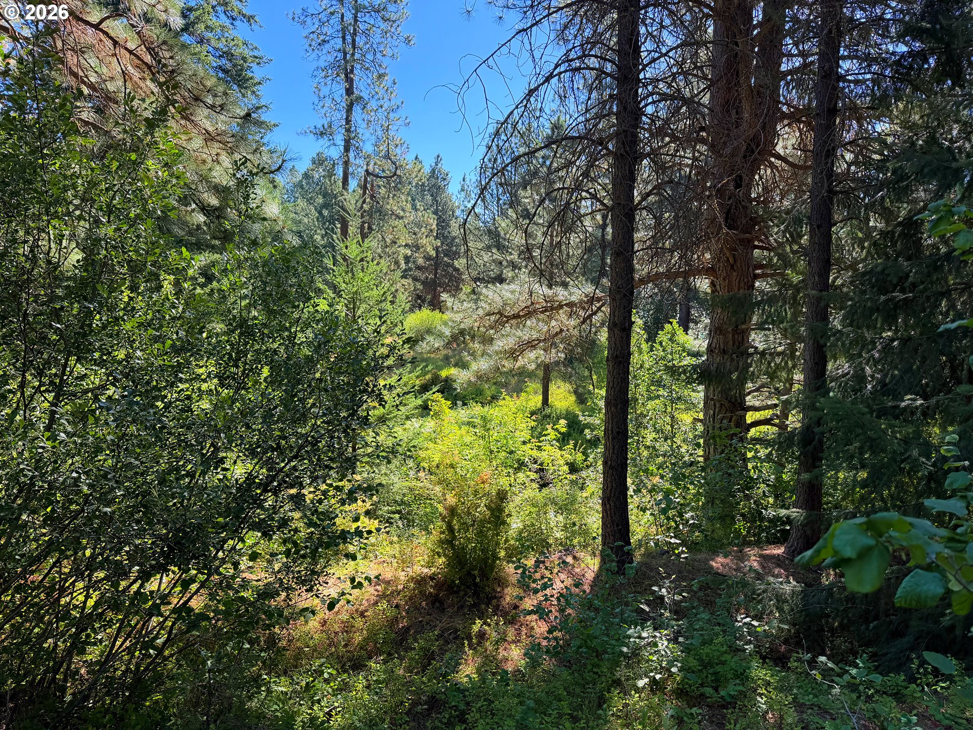 748 CEDAR VALLEY RD