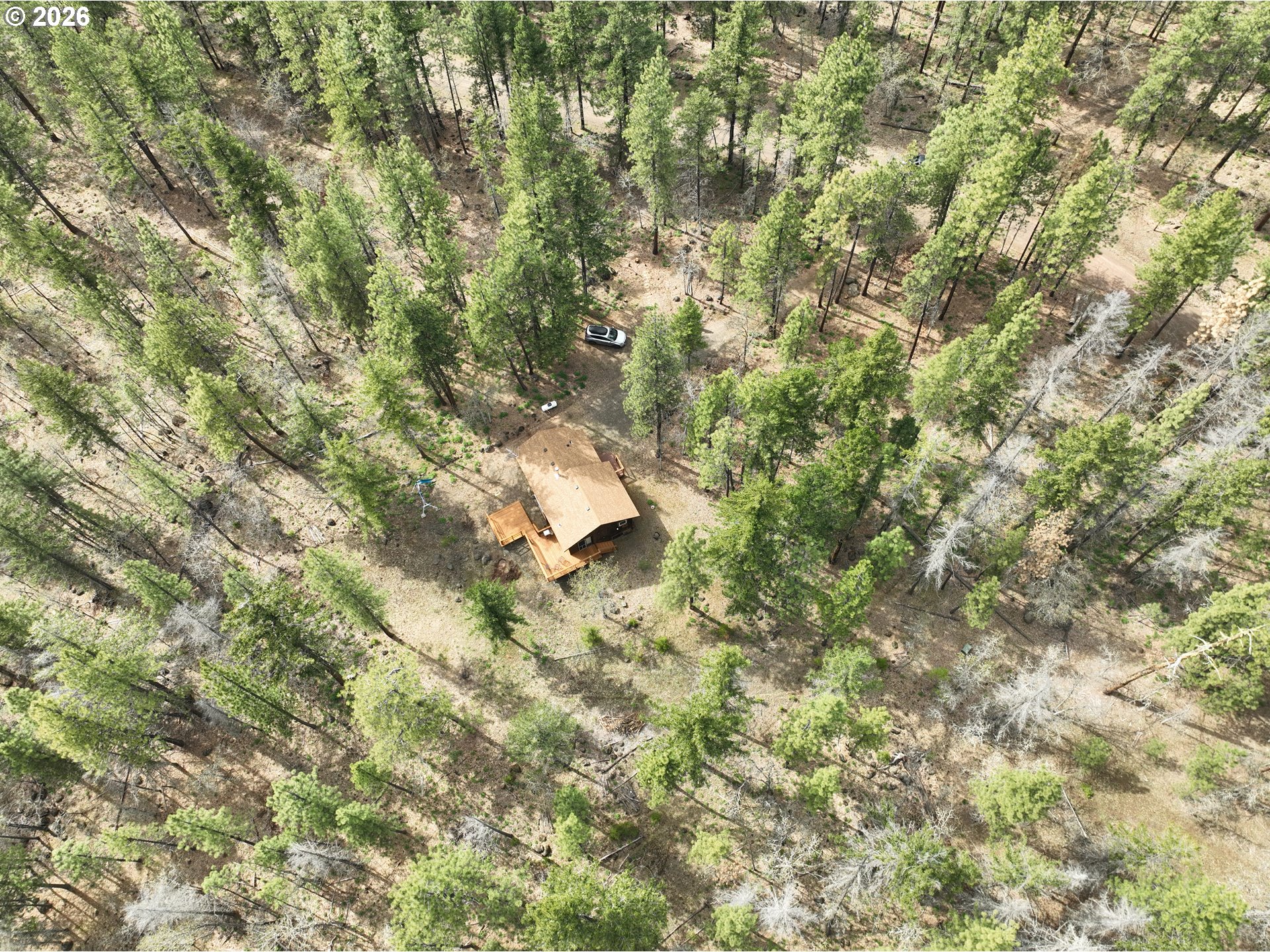 118 NOBLE FIR