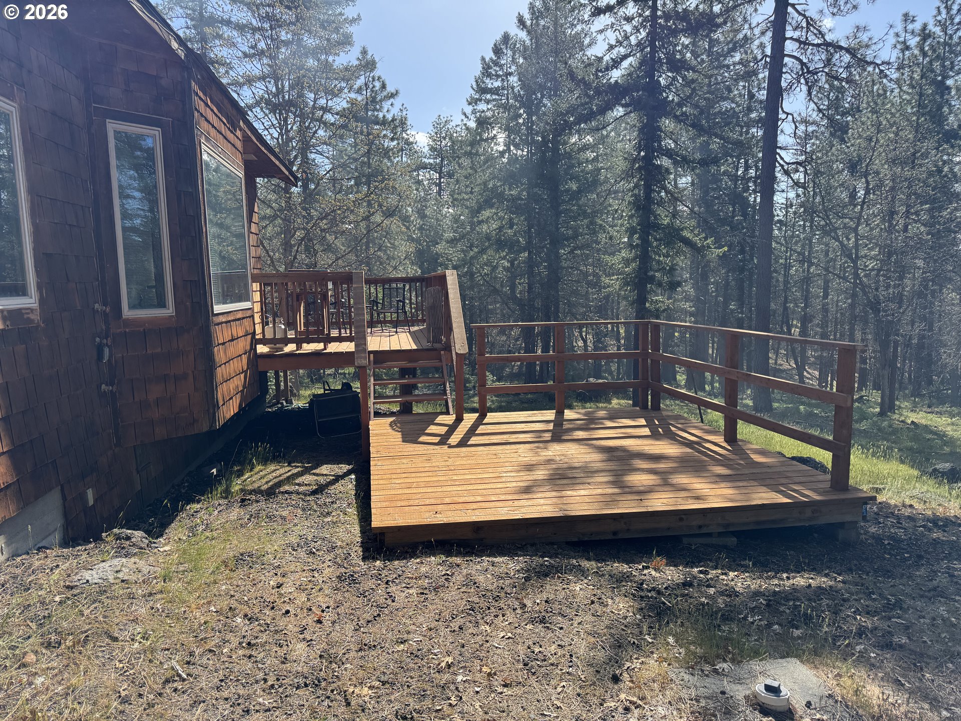 118 NOBLE FIR