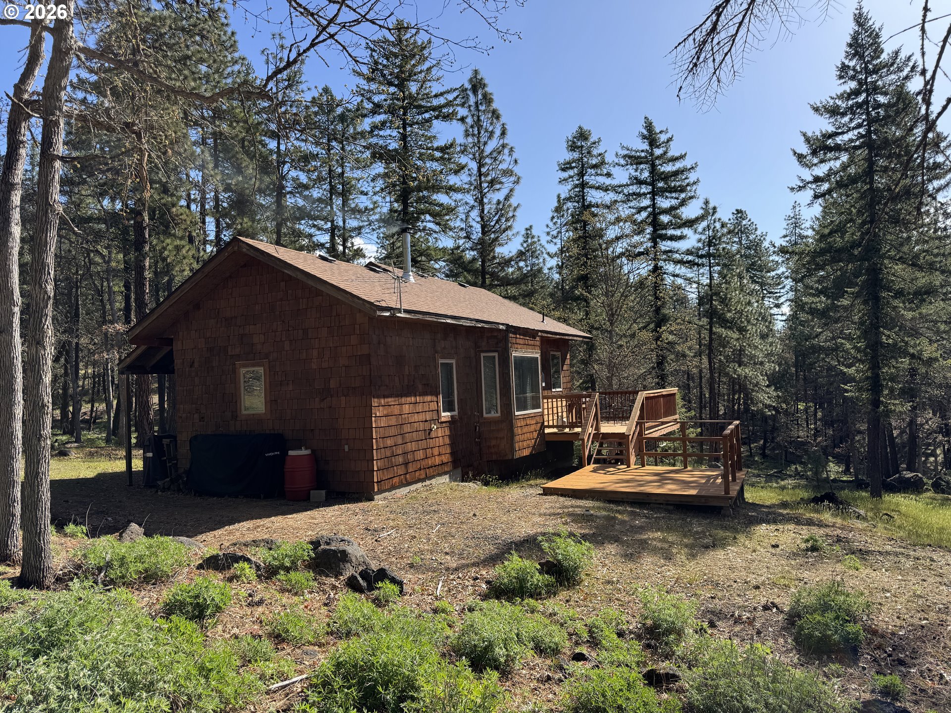 118 NOBLE FIR