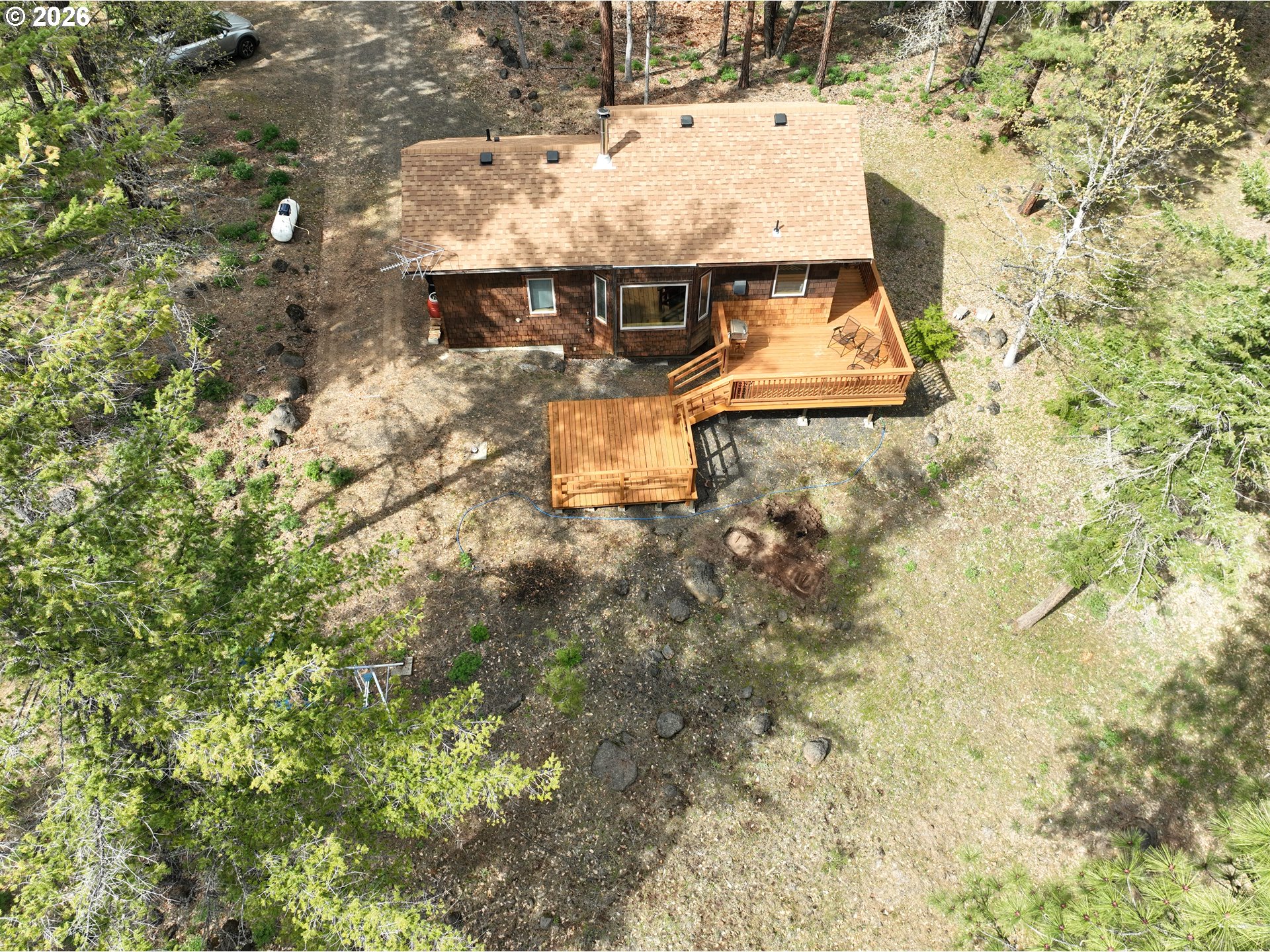118 NOBLE FIR