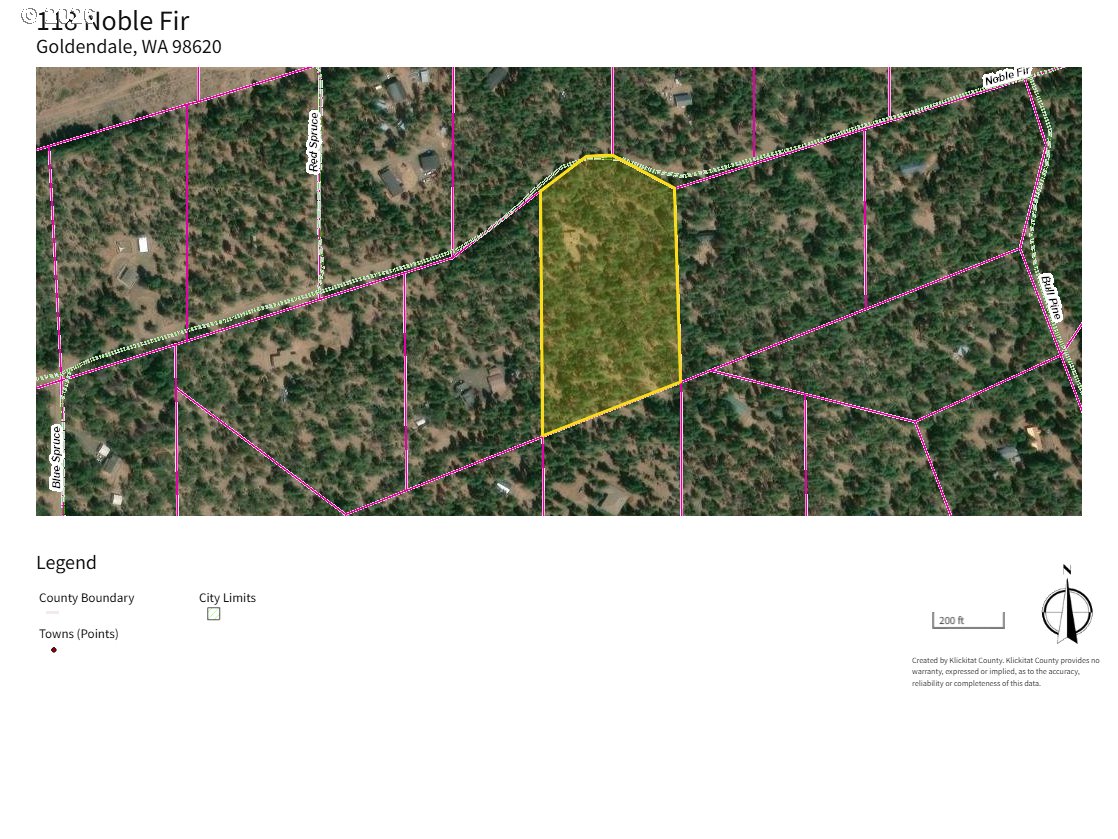 118 NOBLE FIR