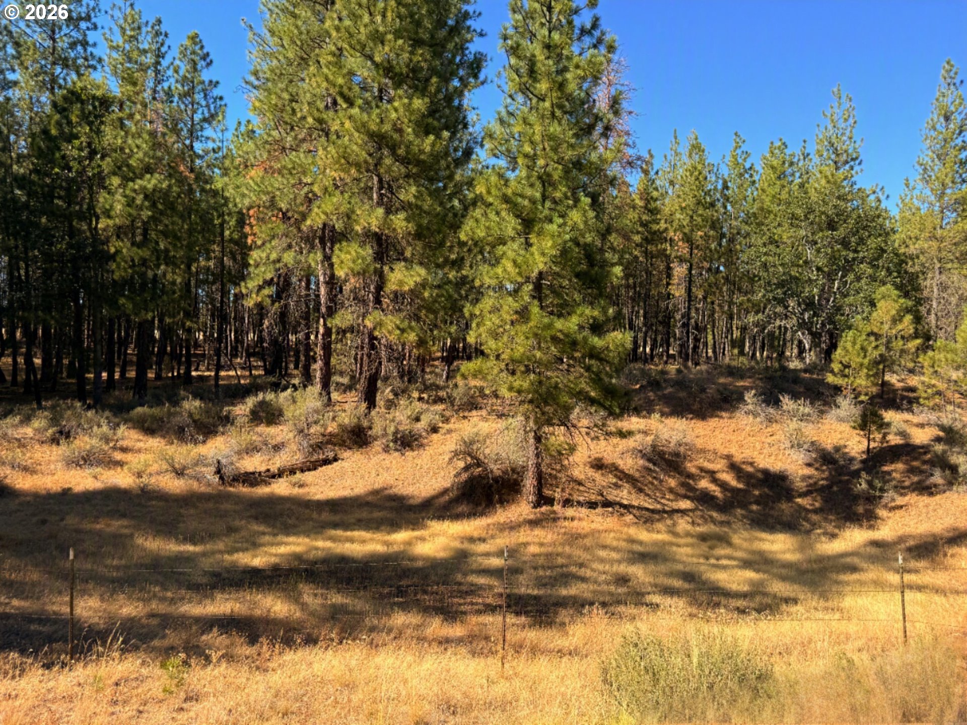 Box Canyon Buckhorn 1