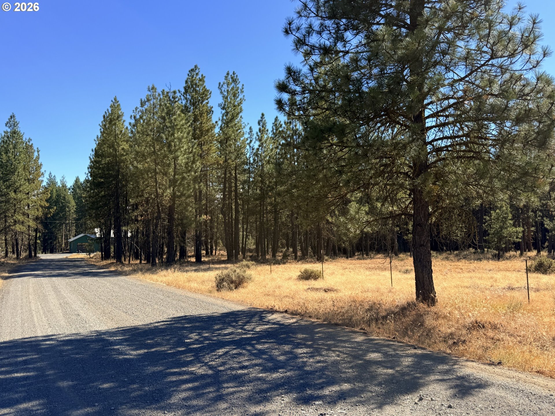 Box Canyon Buckhorn 1