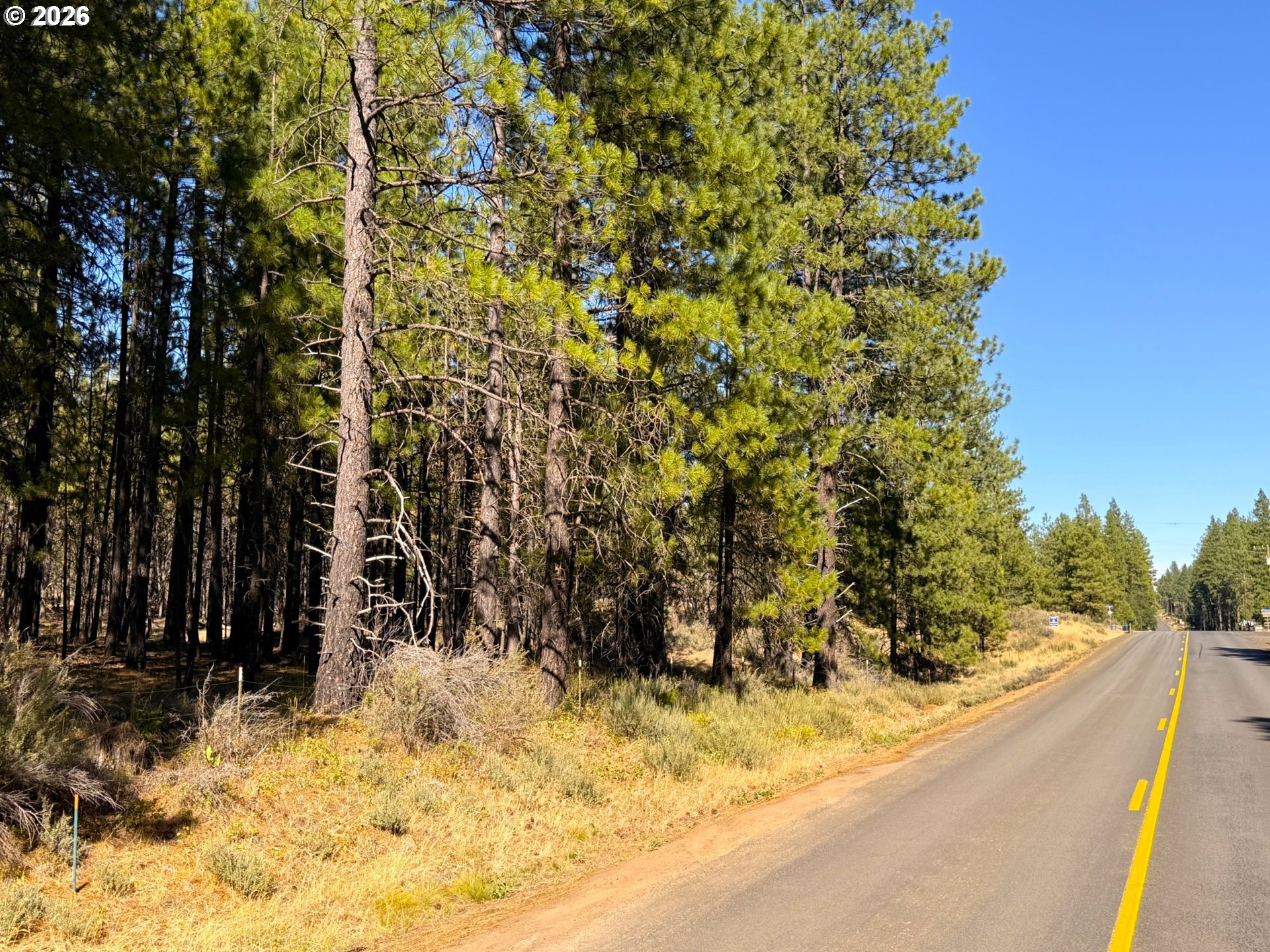 Box Canyon Buckhorn 1
