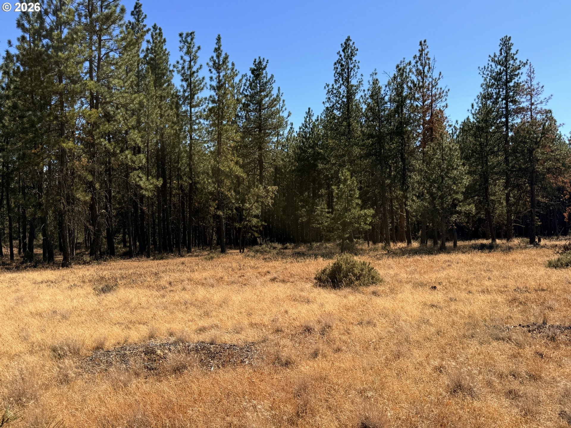 Box Canyon Buckhorn 1