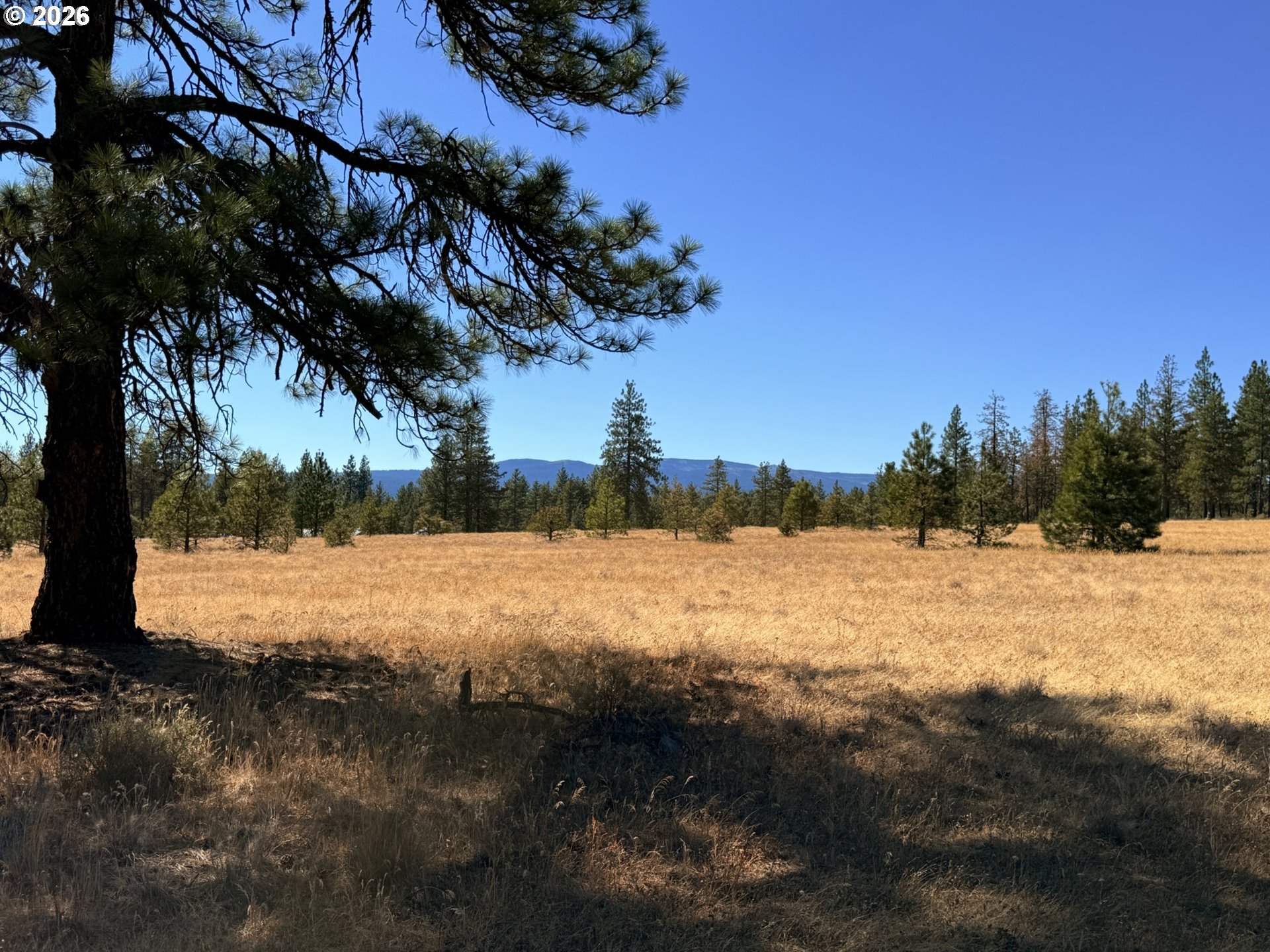 Box Canyon Buckhorn 1
