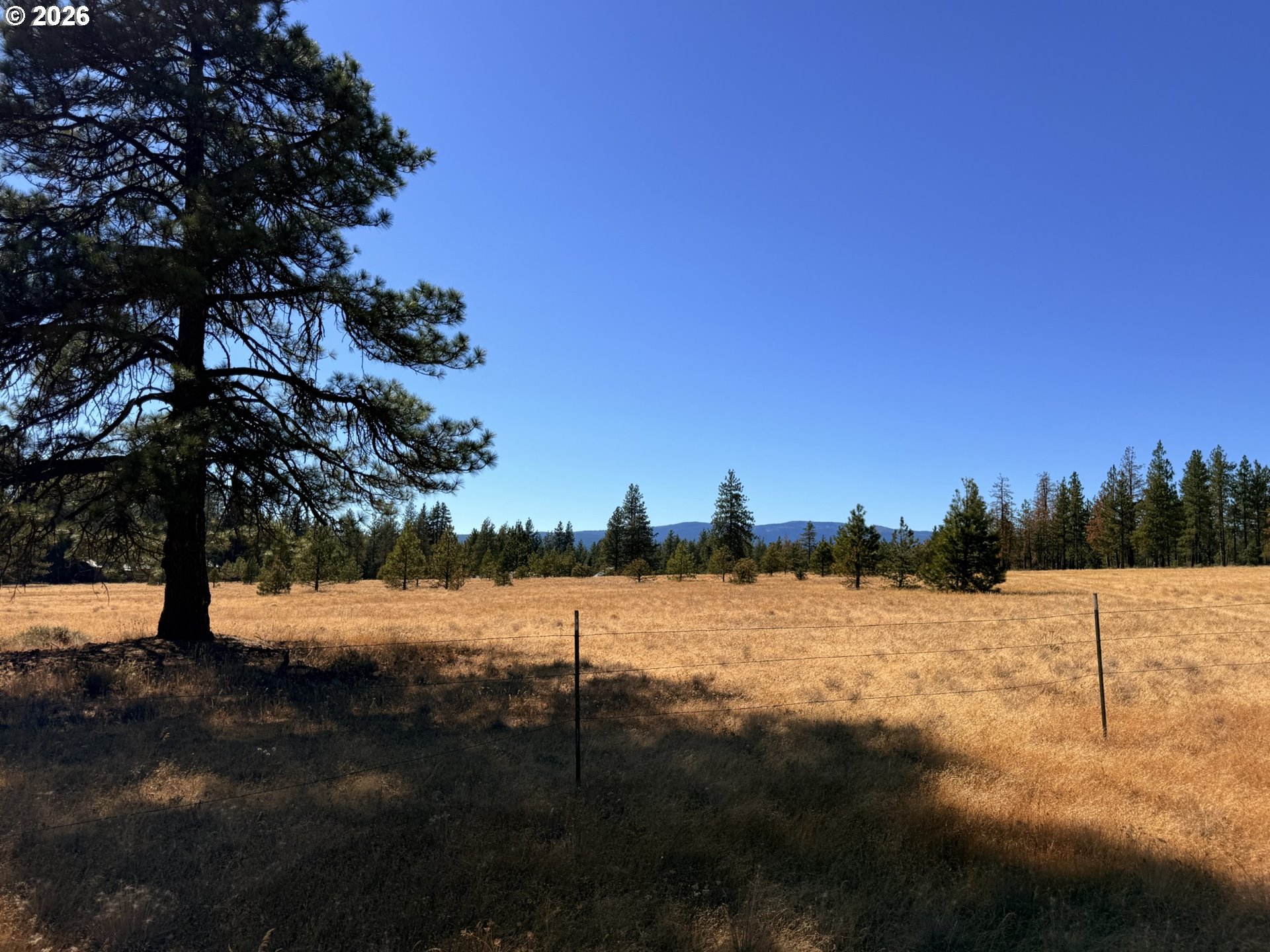 Box Canyon Buckhorn 1
