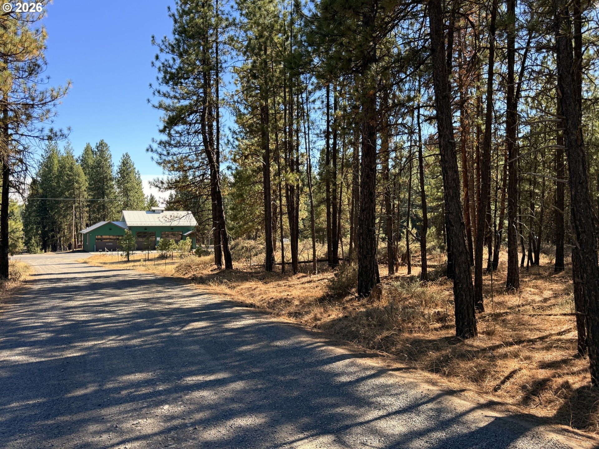 Box Canyon Buckhorn 1