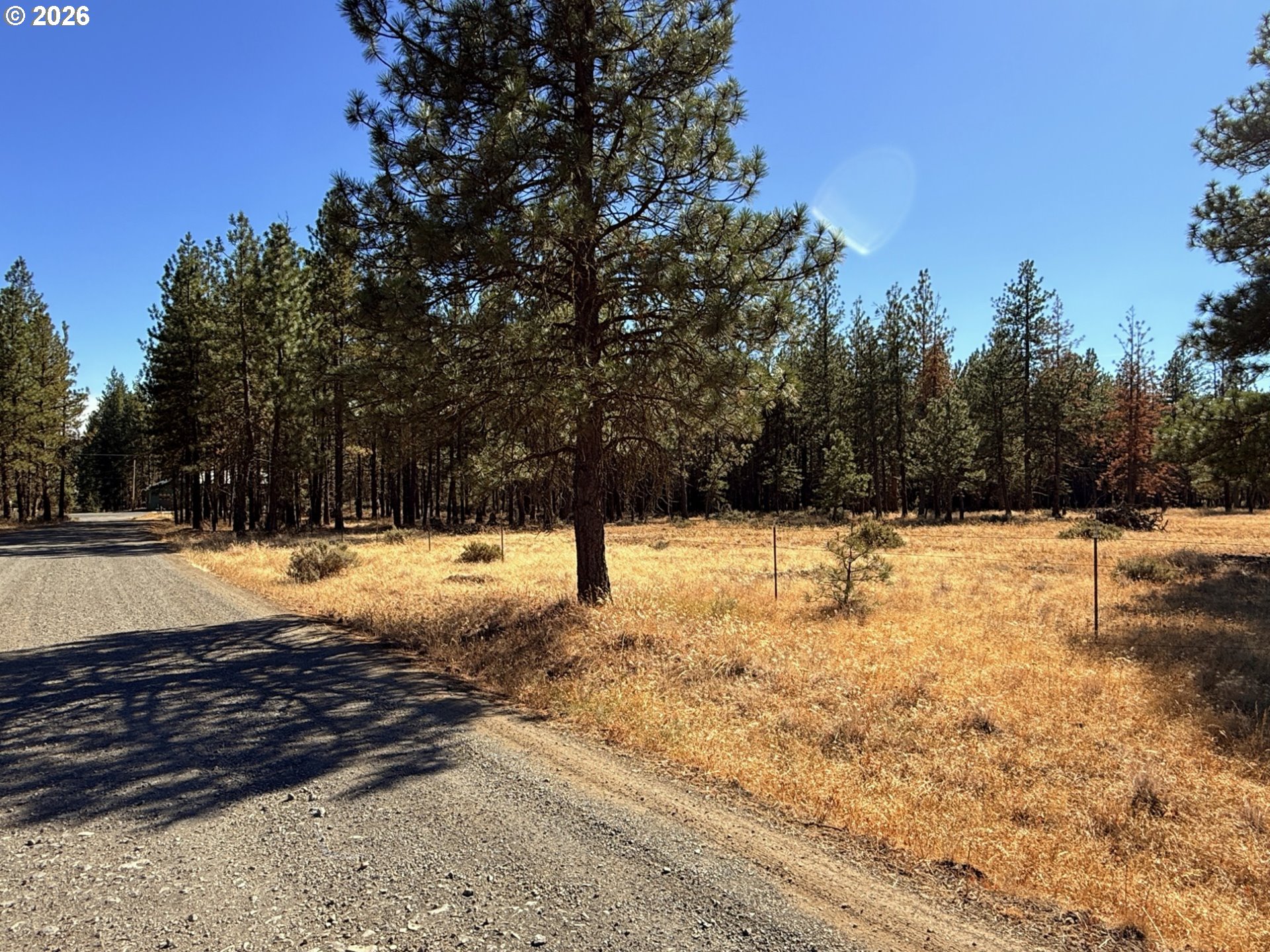 Box Canyon Buckhorn 1