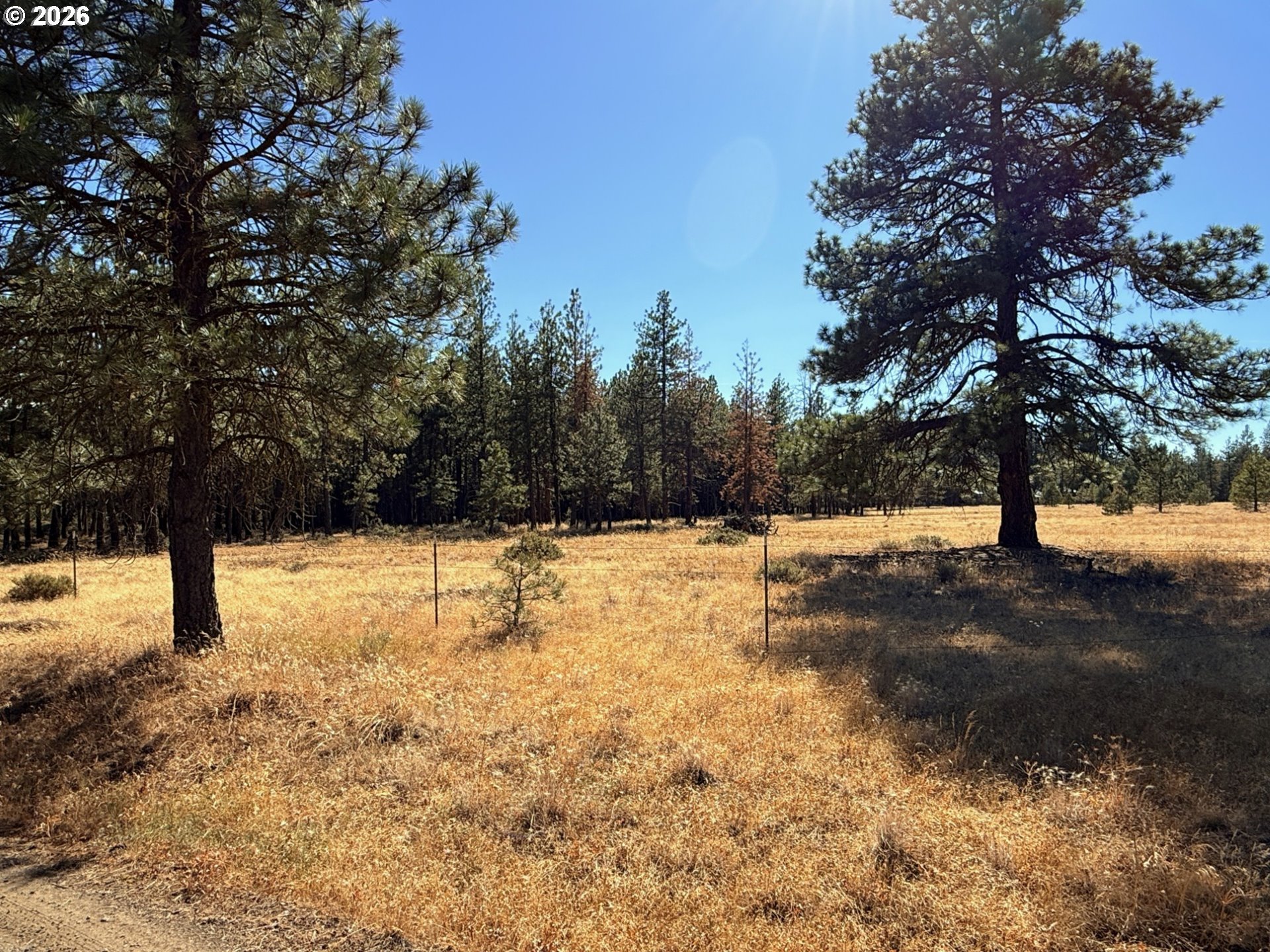 Box Canyon Buckhorn 1