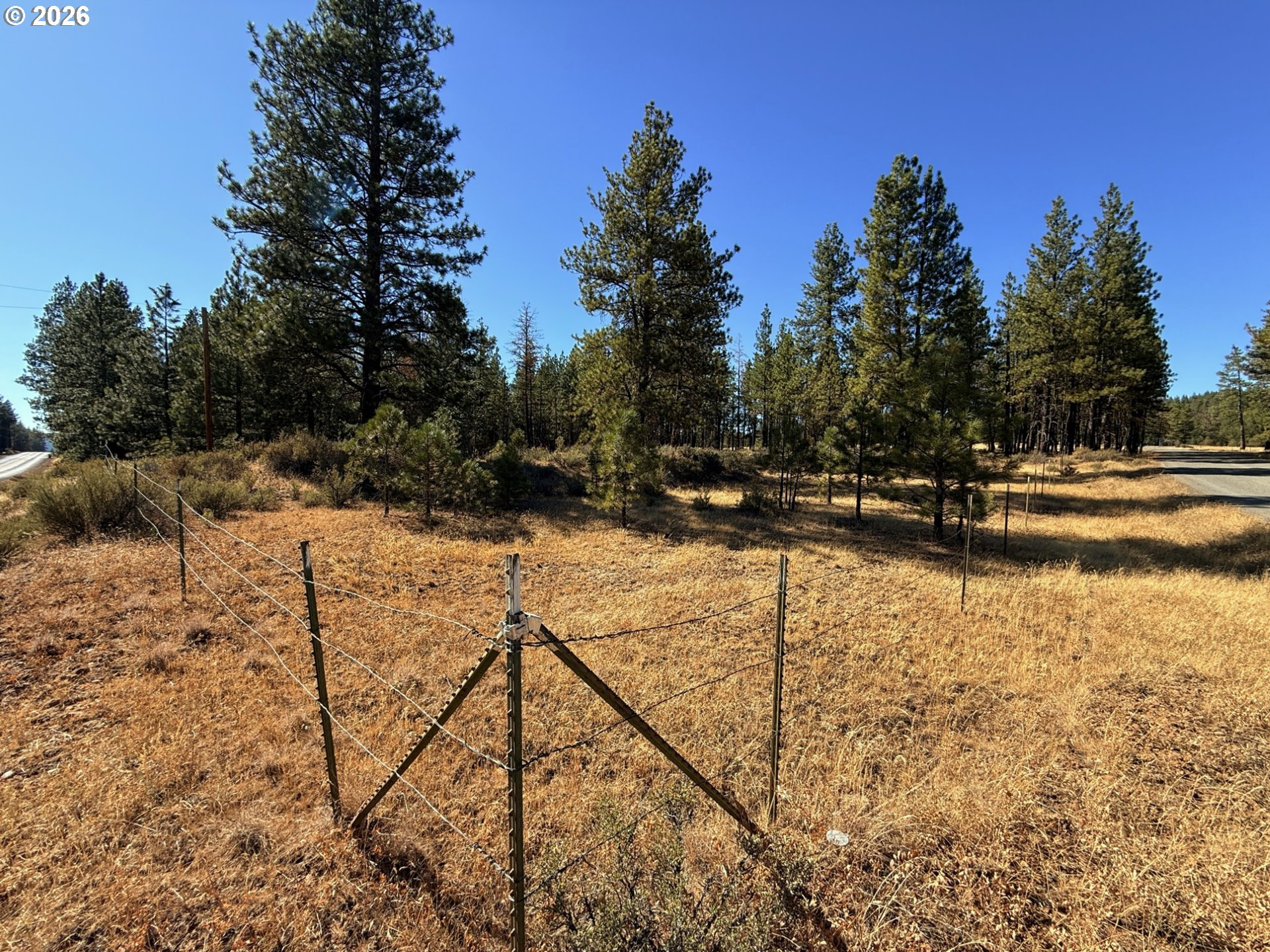 Box Canyon Buckhorn 1