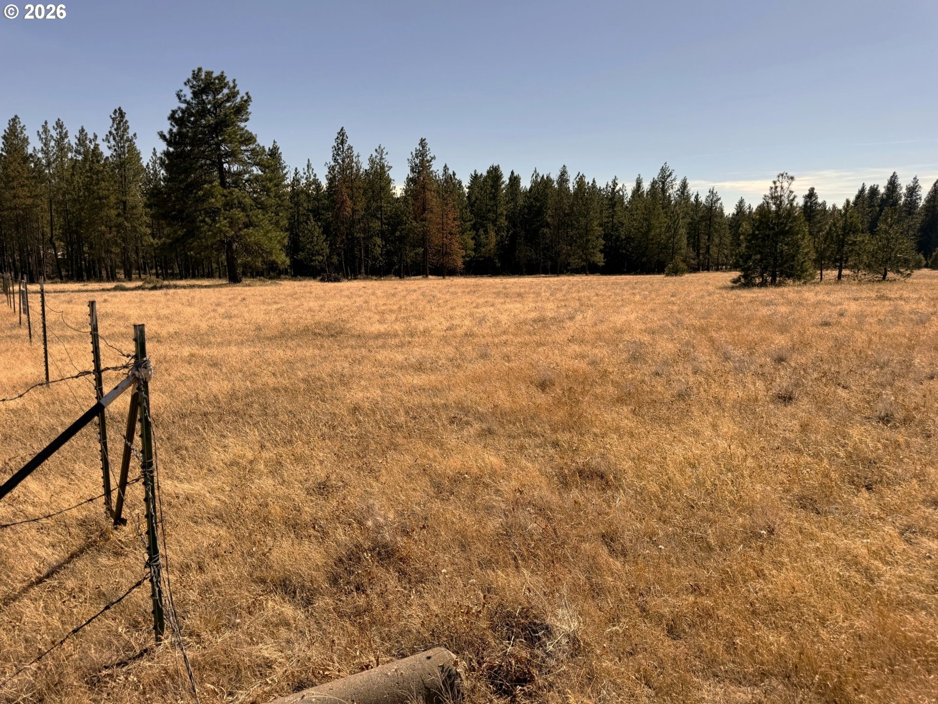 Box Canyon Buckhorn 1