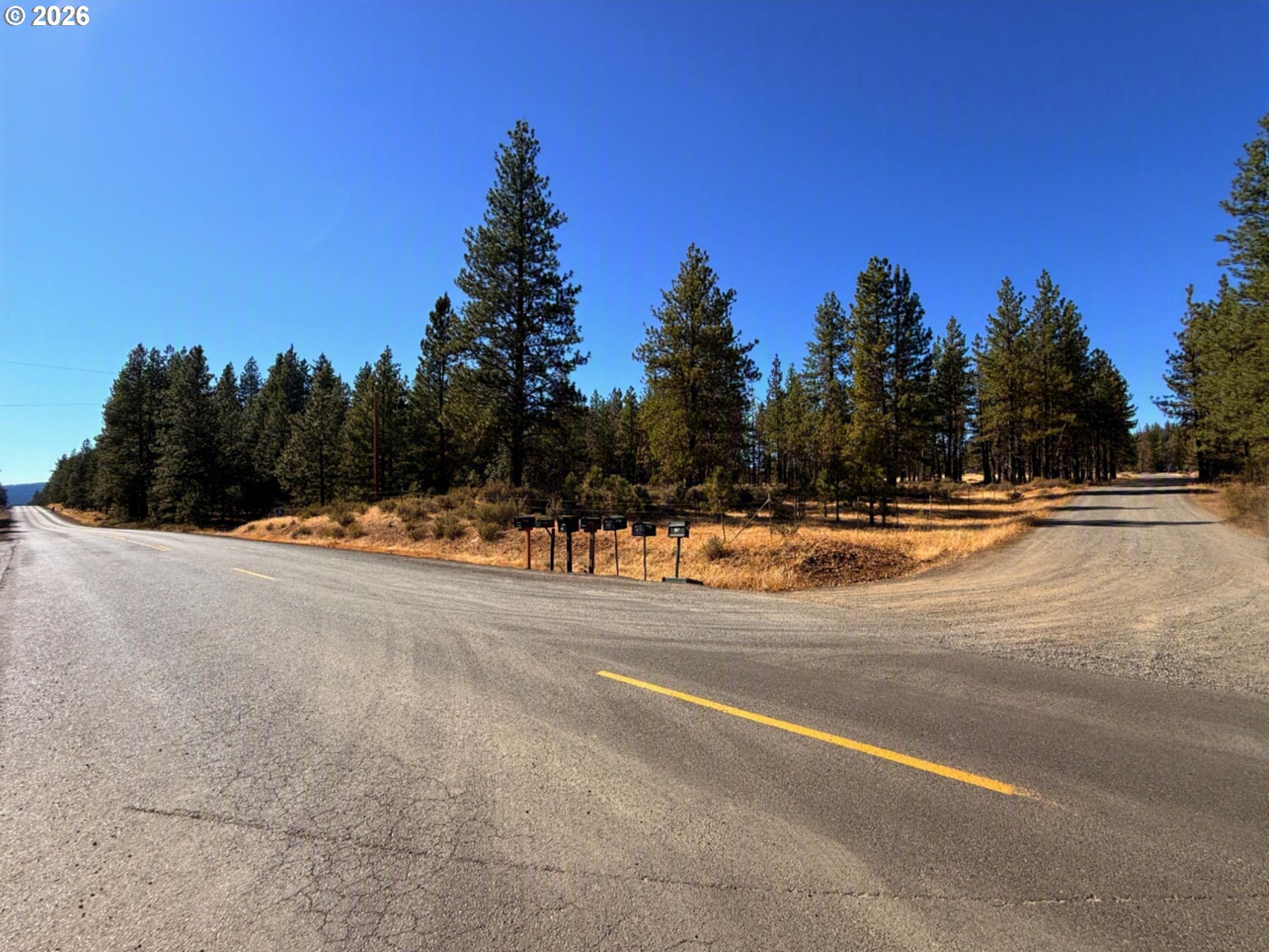 Box Canyon Buckhorn 1