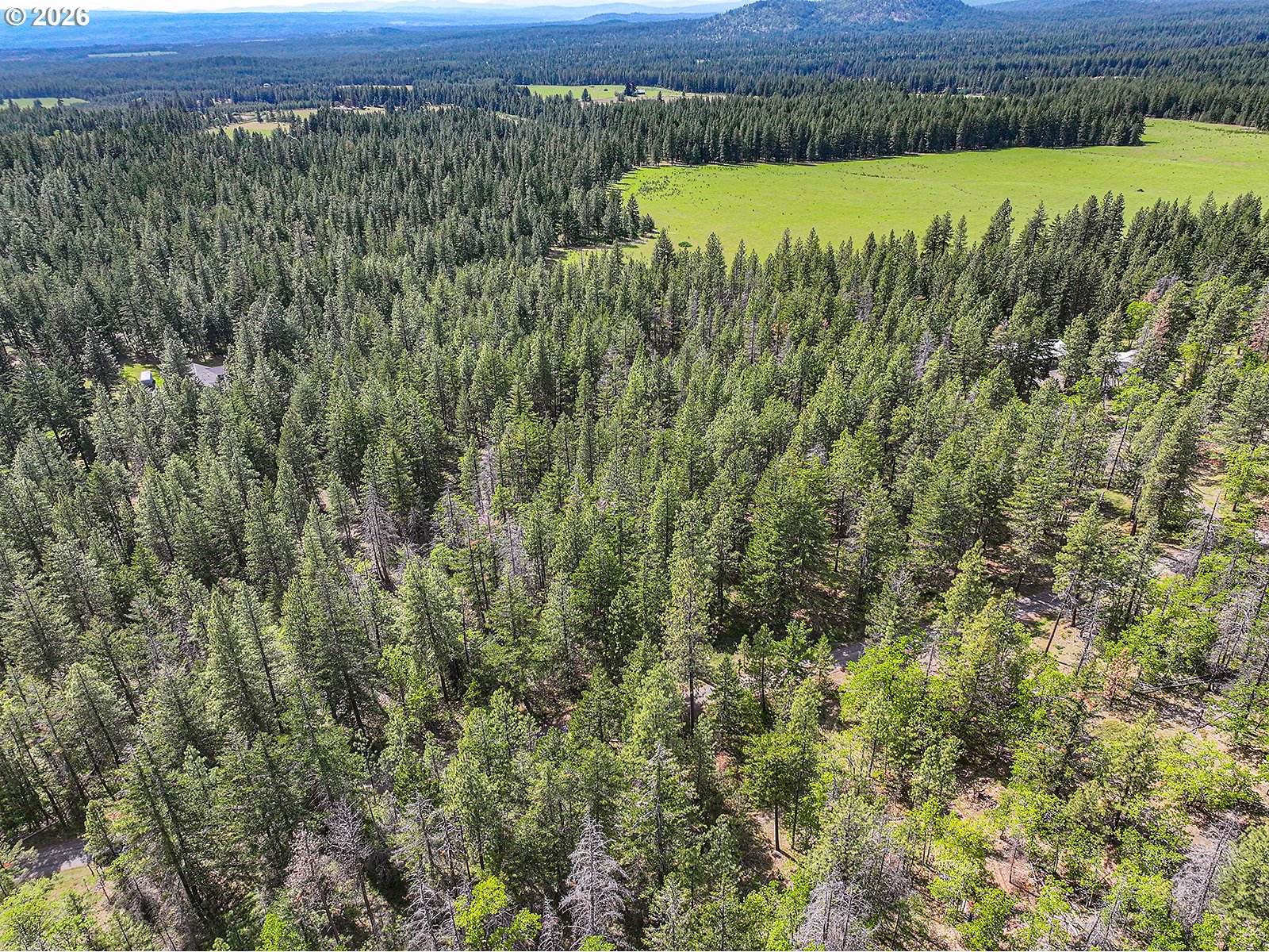 NKA Forest Glen DR #37/38