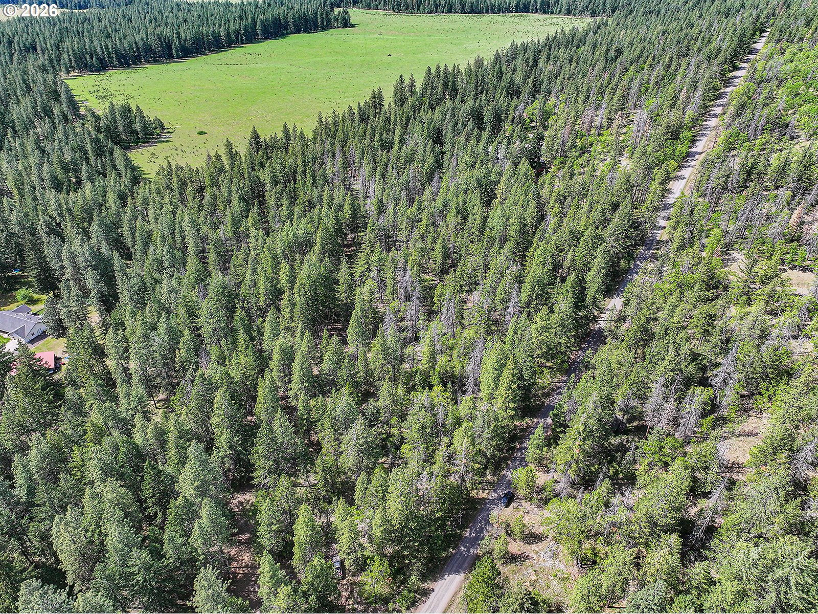NKA Forest Glen DR #37/38