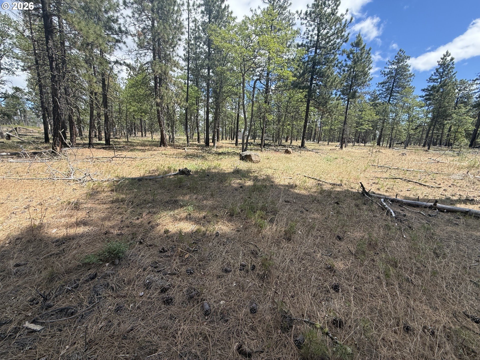 Old Stage Rd