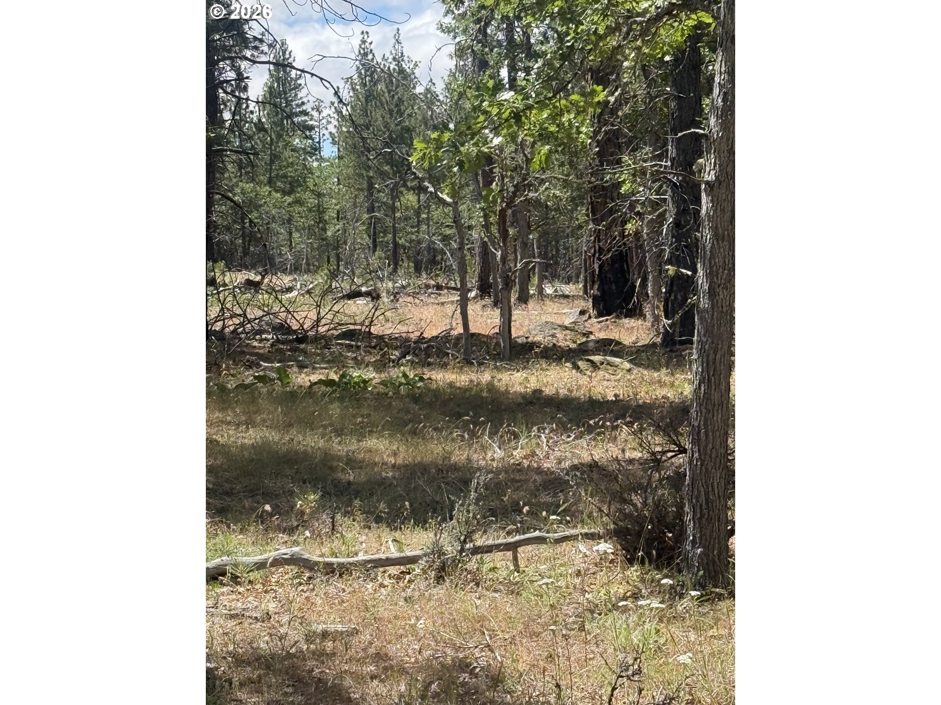 Old Stage Rd