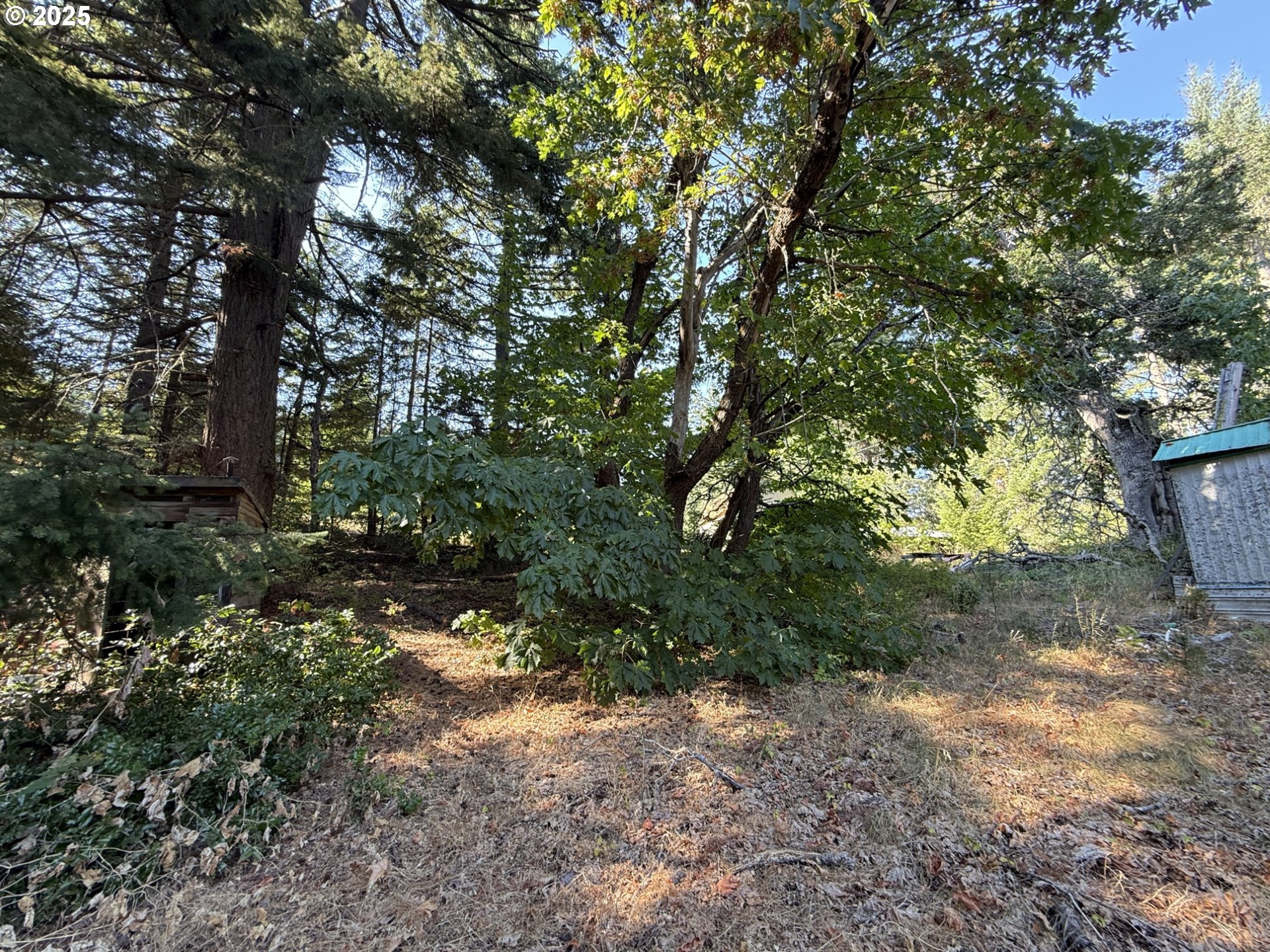 121 Cooke RD
