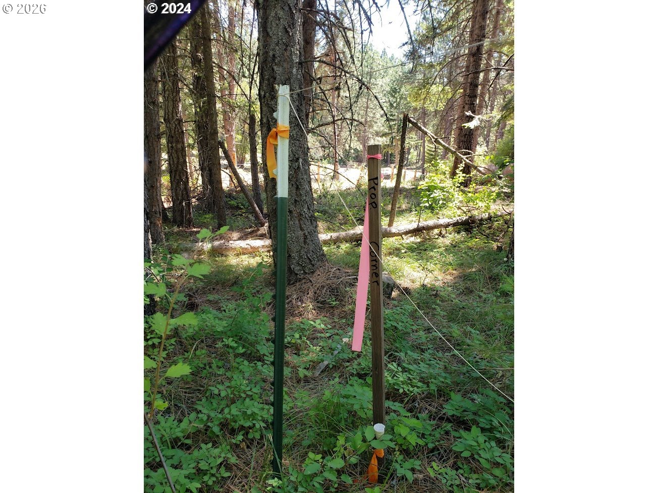 492 Sleepy Hollow RD