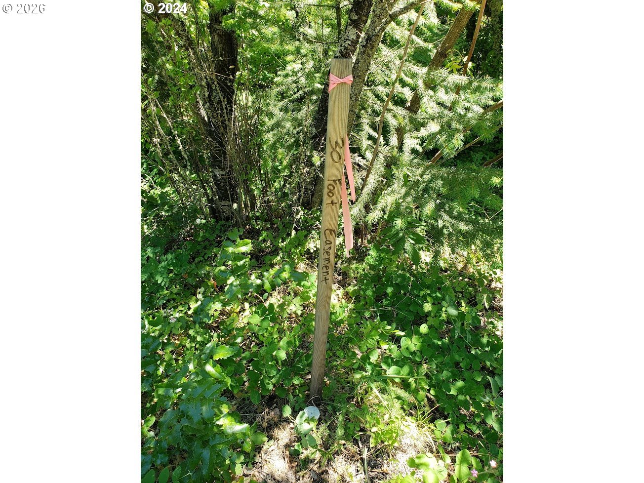 492 Sleepy Hollow RD