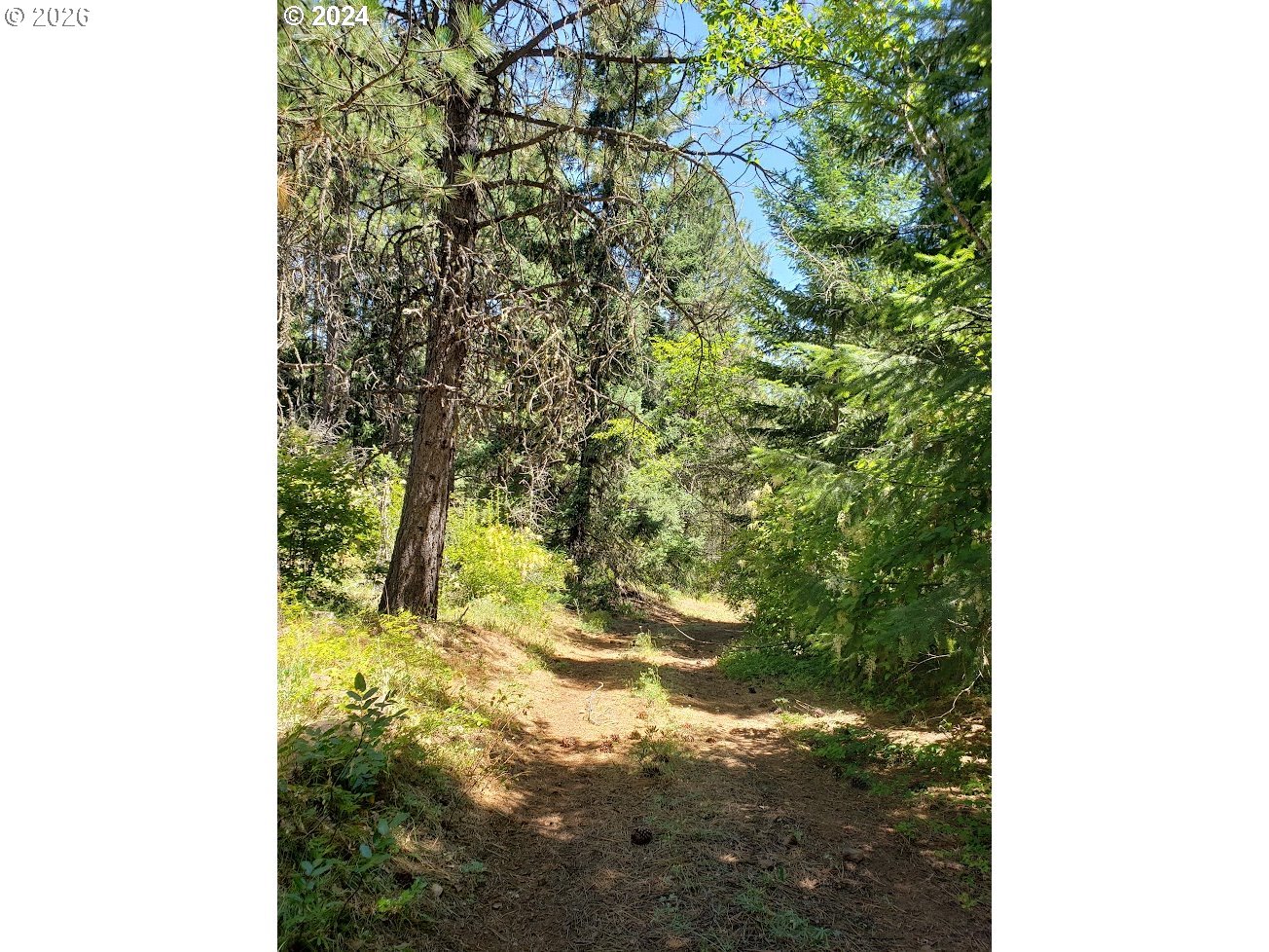 492 Sleepy Hollow RD