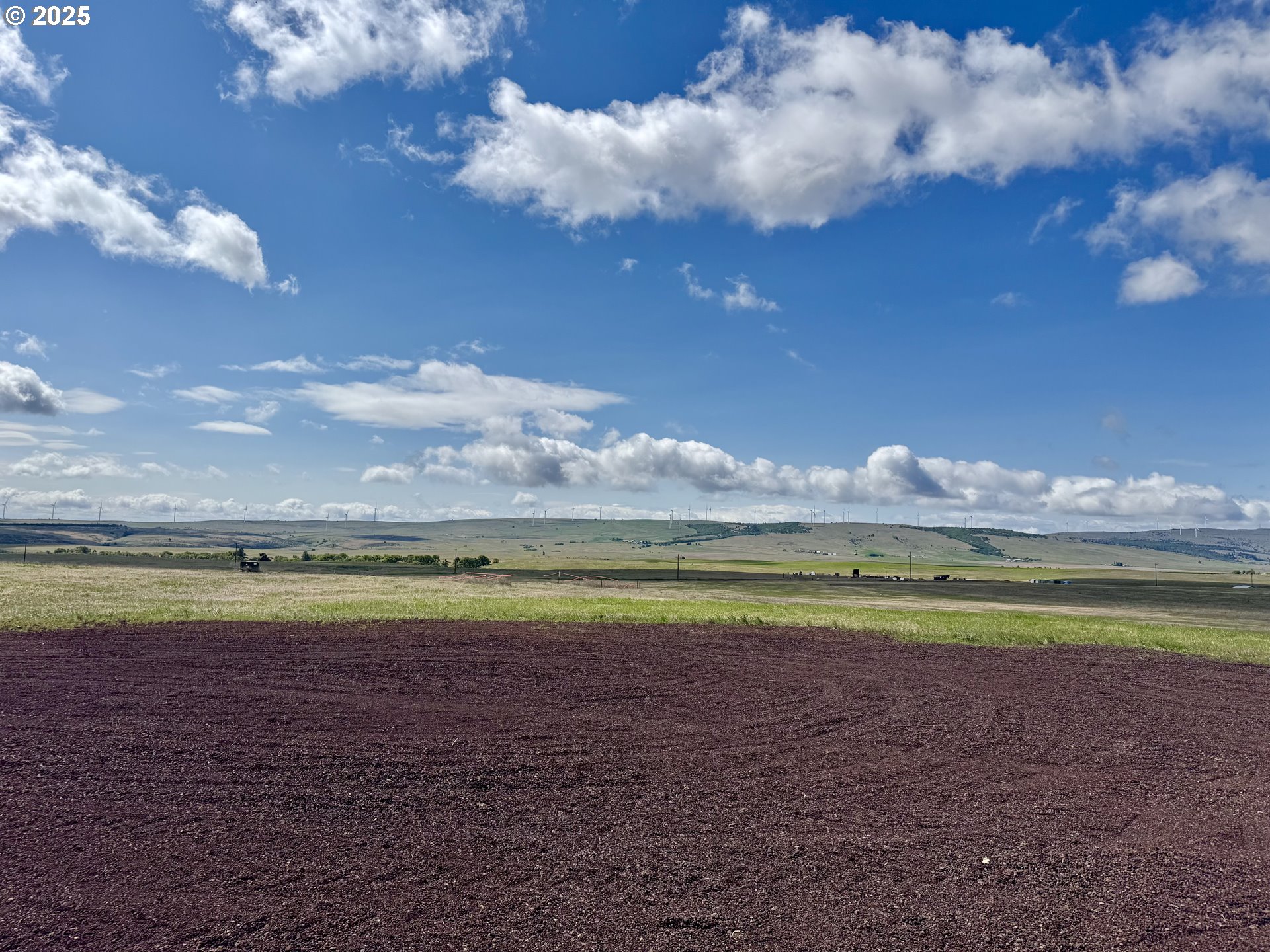 163 THREE SPURS LOOP