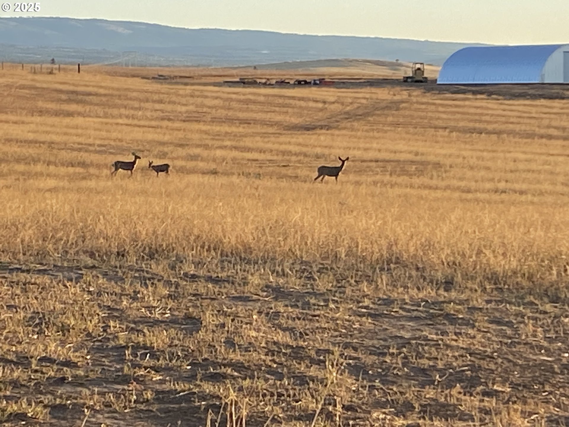 163 THREE SPURS LOOP