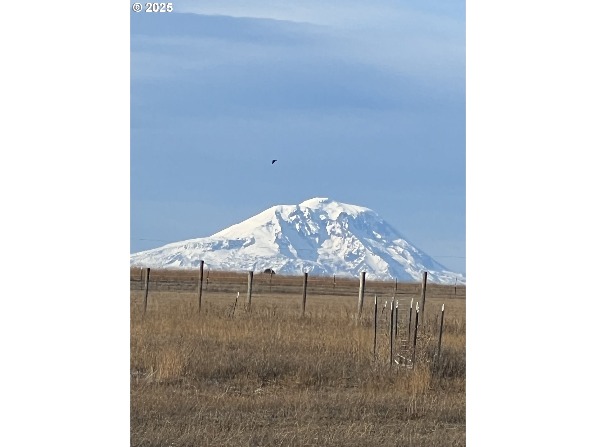 163 THREE SPURS LOOP