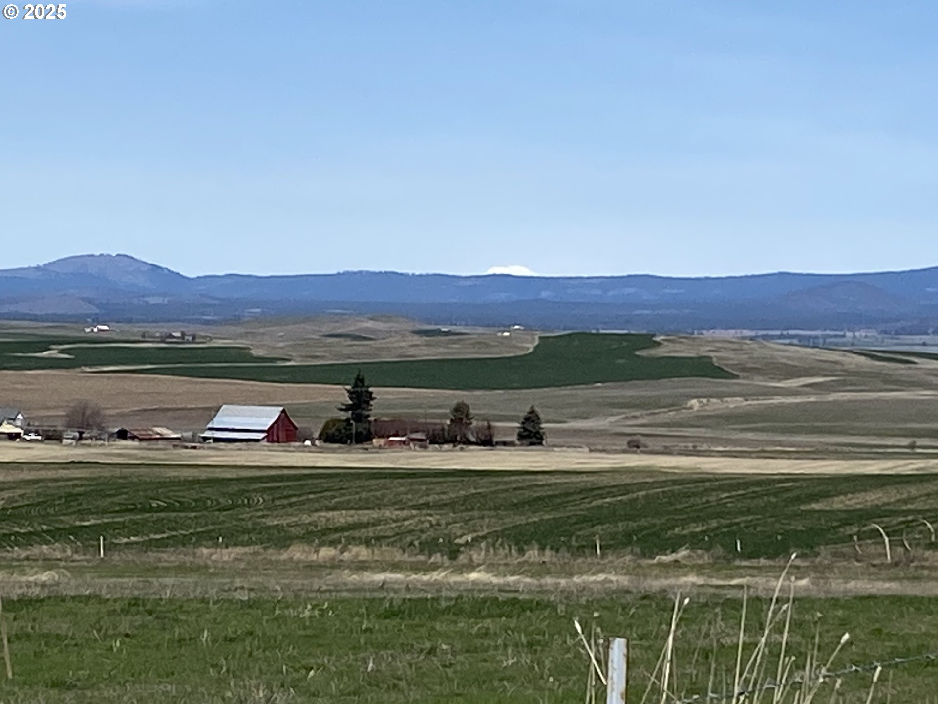 163 THREE SPURS LOOP