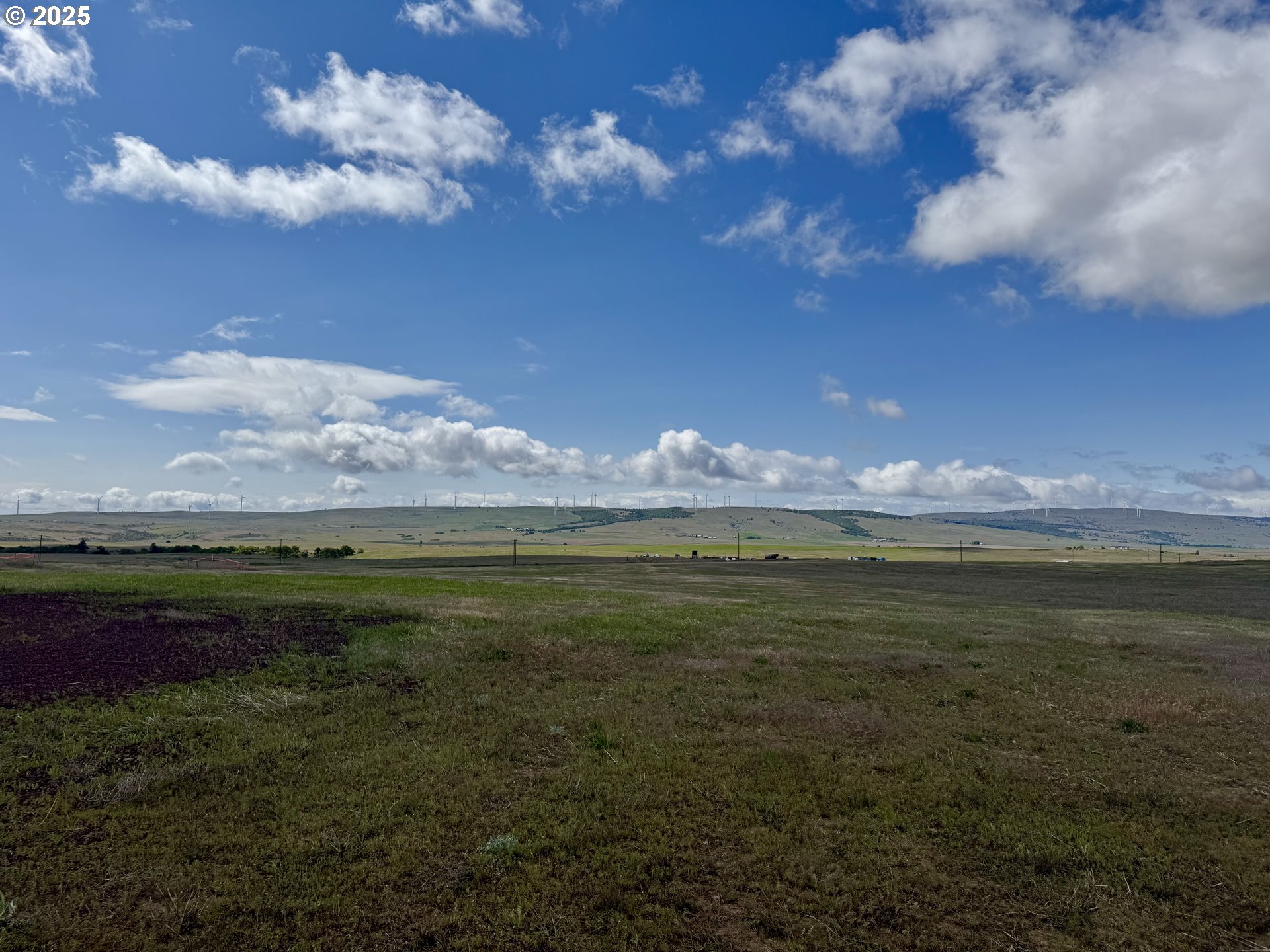 163 THREE SPURS LOOP