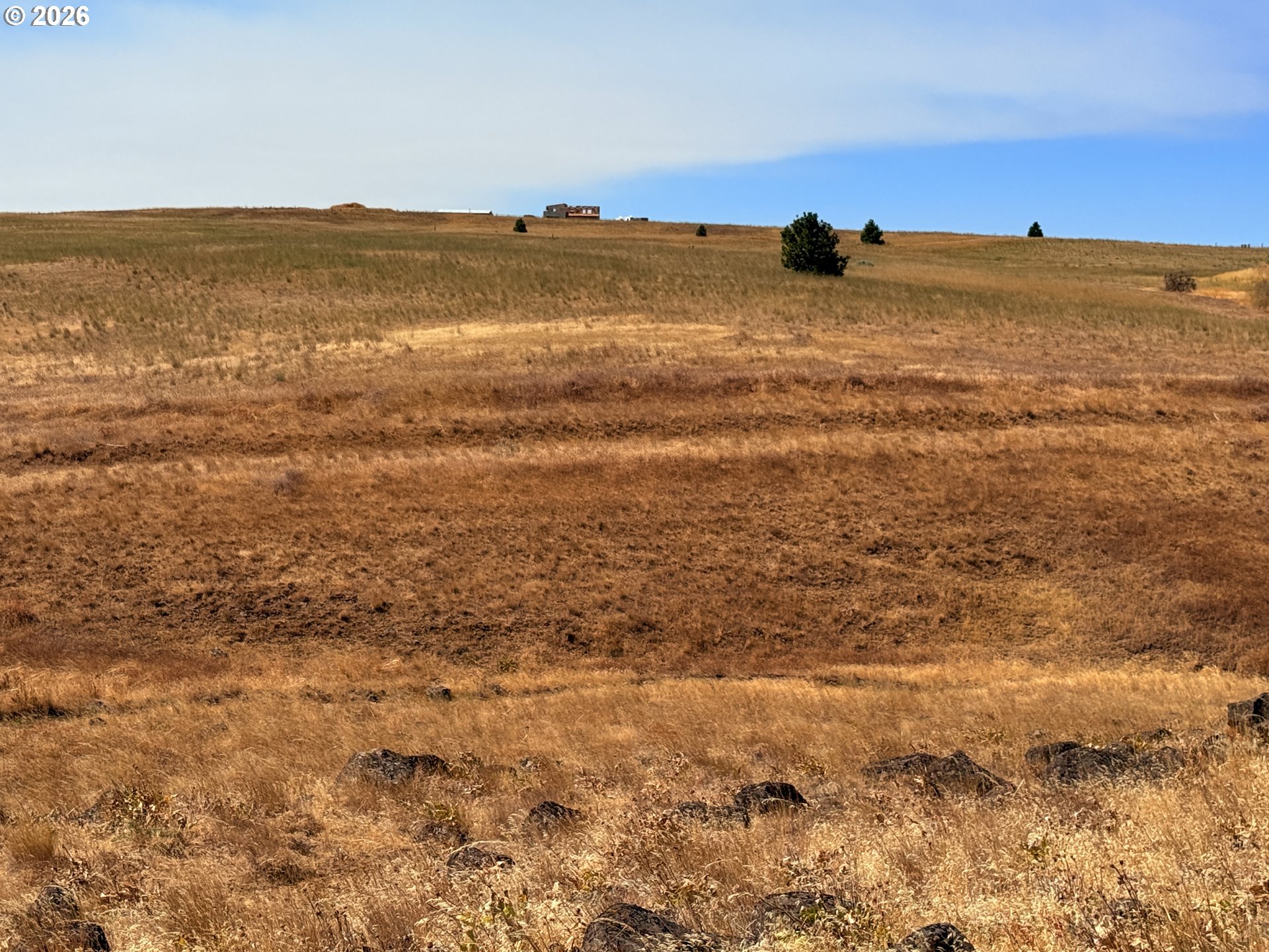 Erickson RD 28A