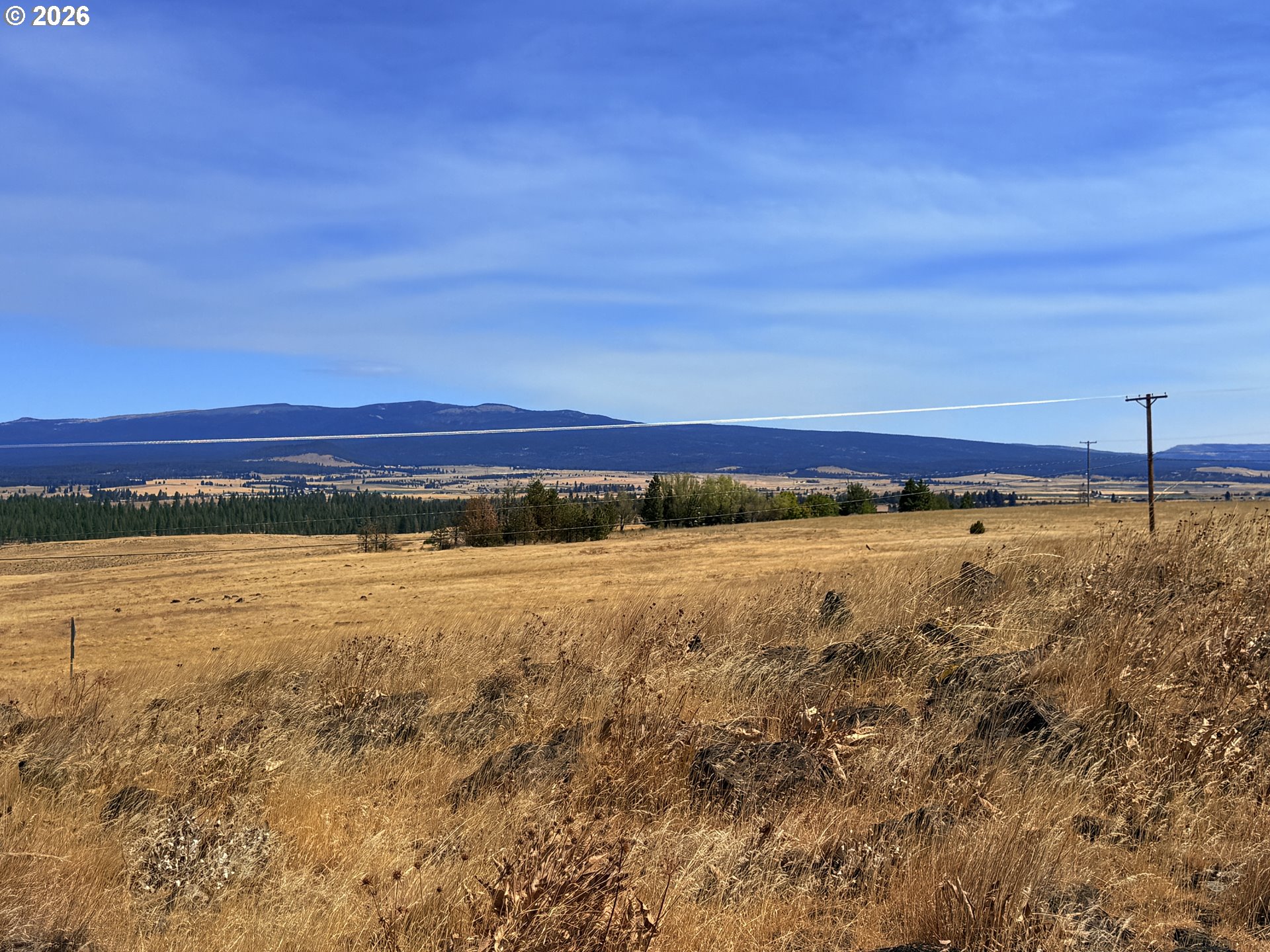 Erickson RD 28A