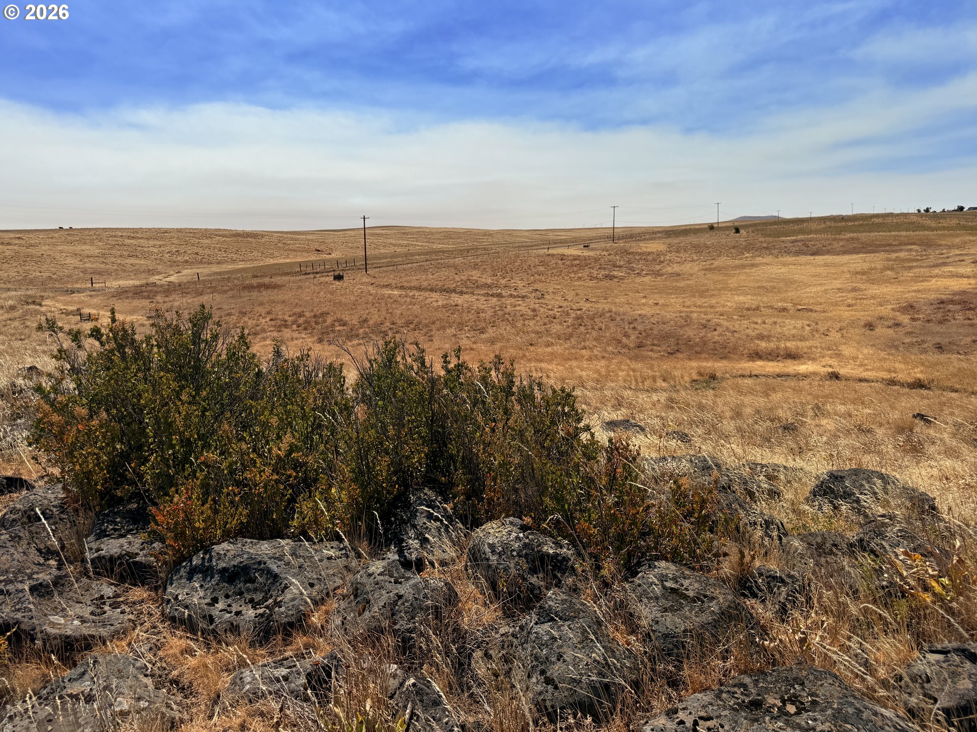 Erickson RD 28A
