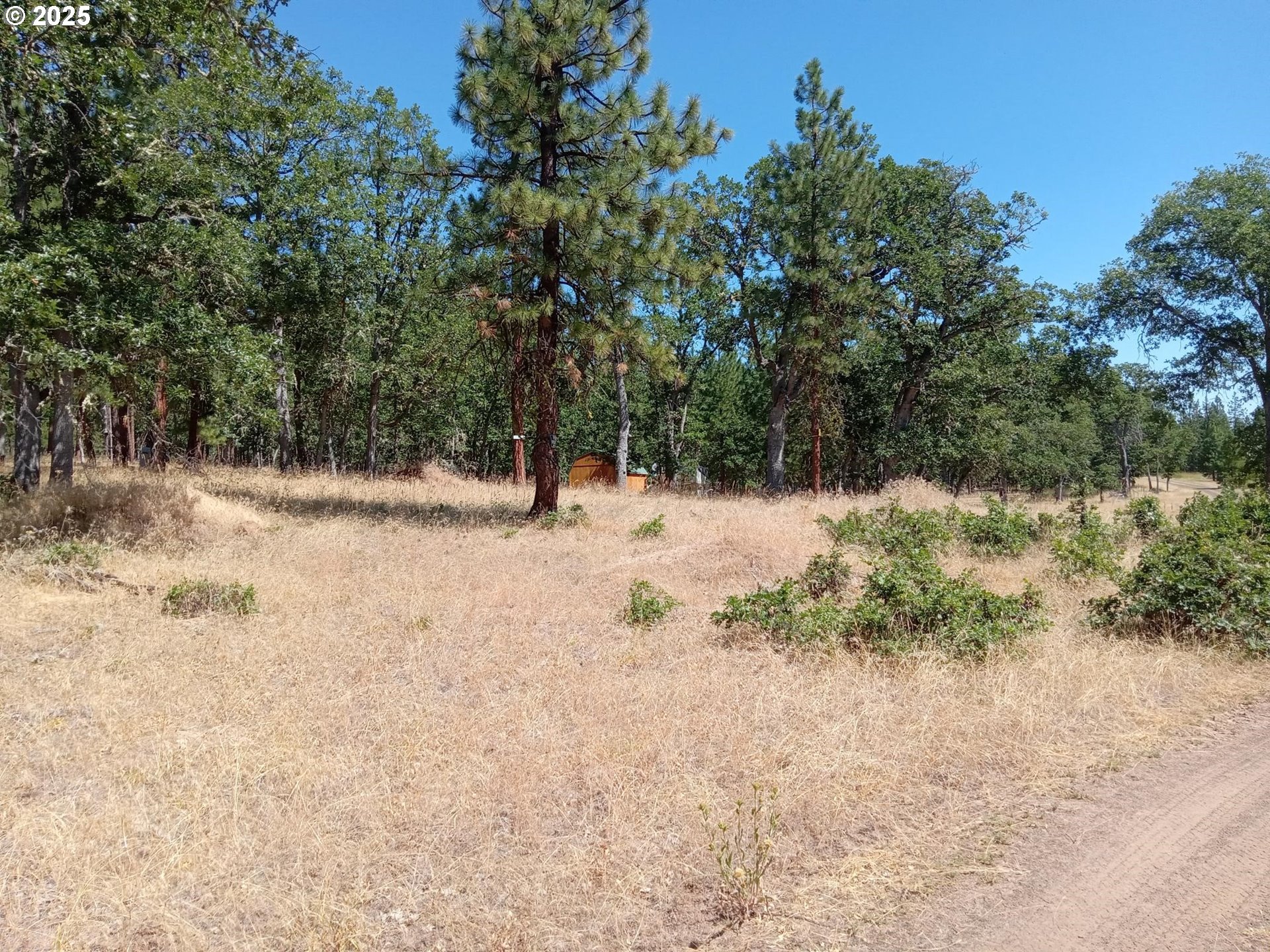 Wilderness LOOP 75-76