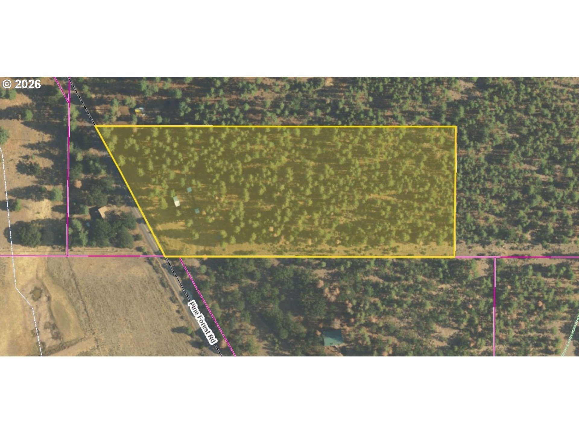 320 Pine Forest RD