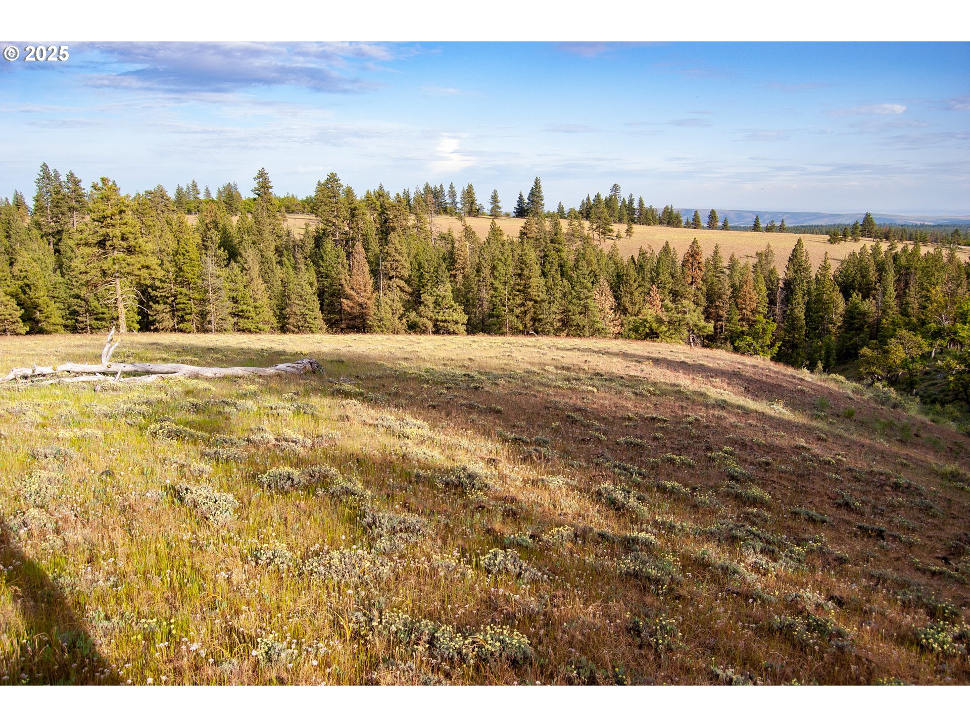 Brock Ranch Rd