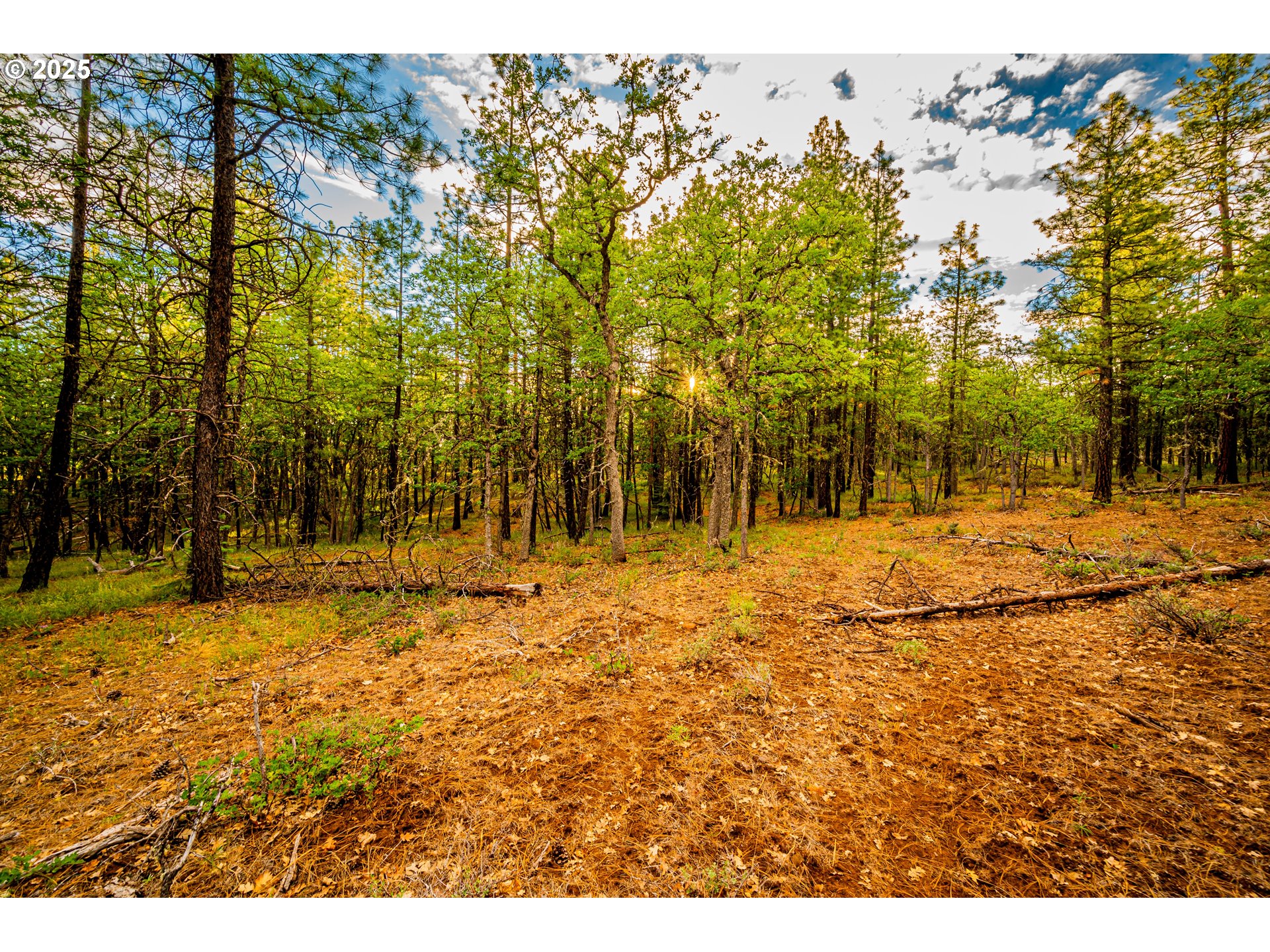 Brock Ranch Rd