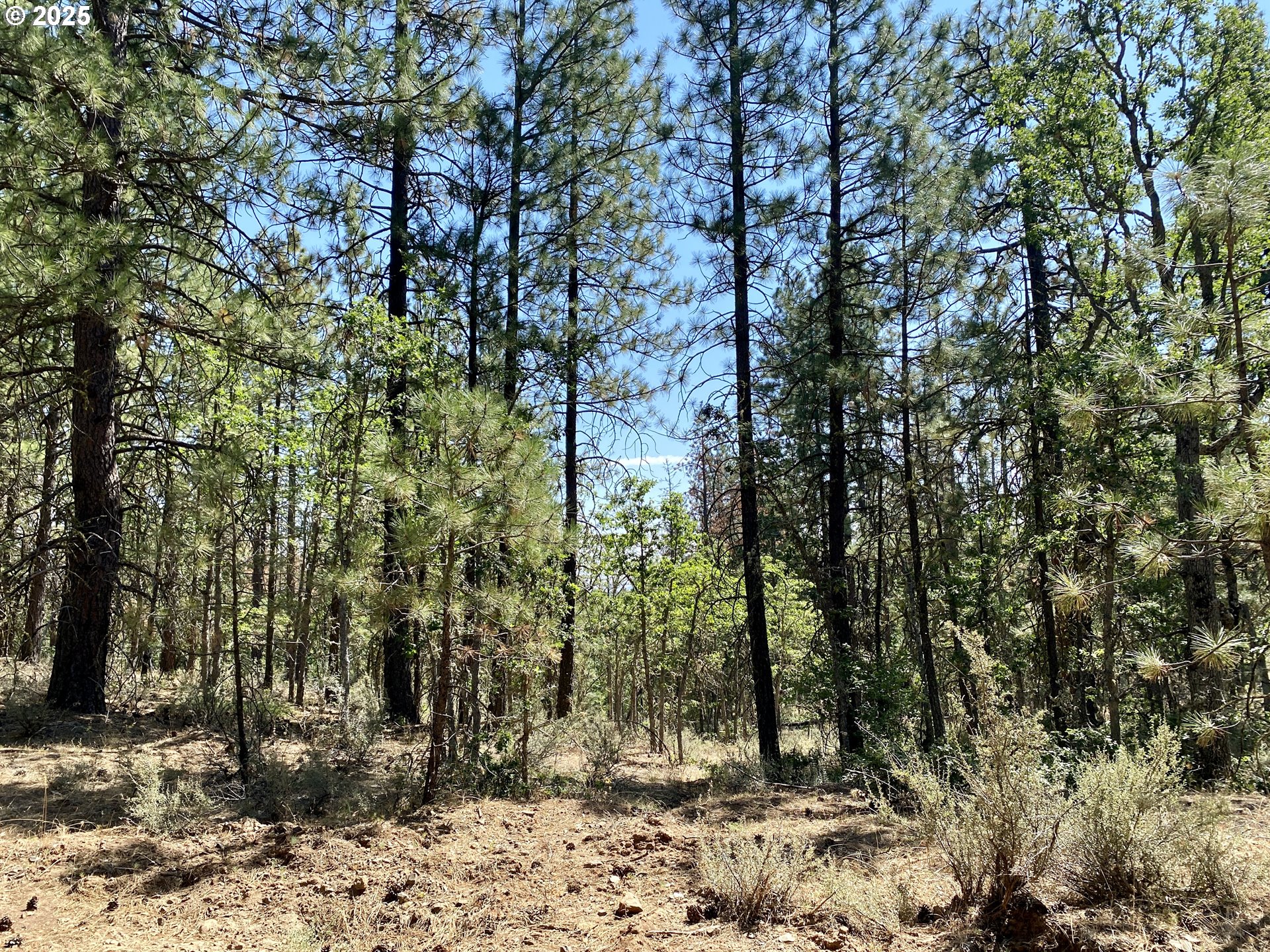 Brock Ranch Rd