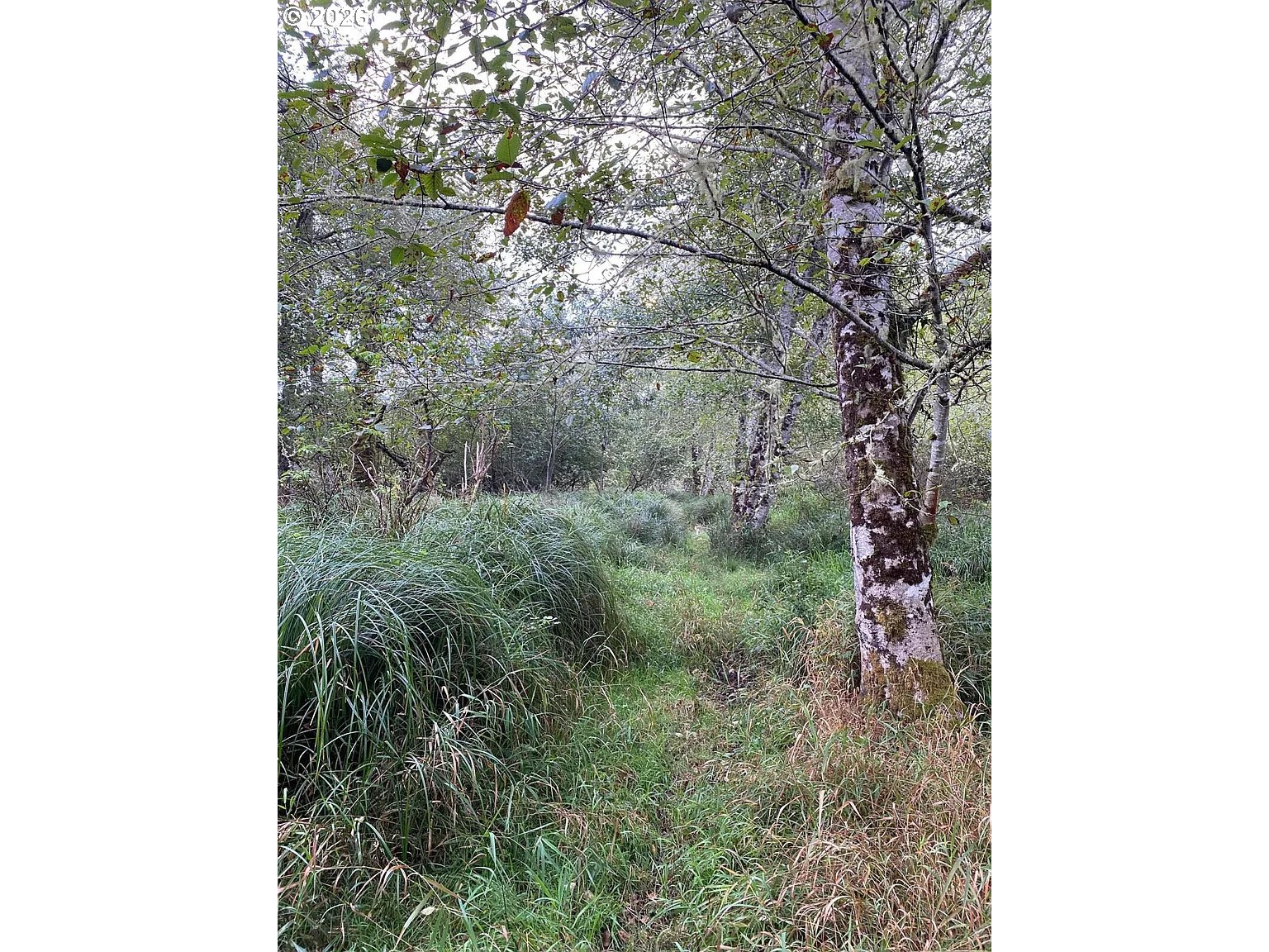 NNA Dellmoor Loop