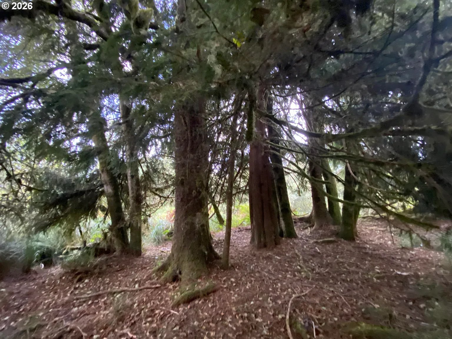 NNA Dellmoor Loop
