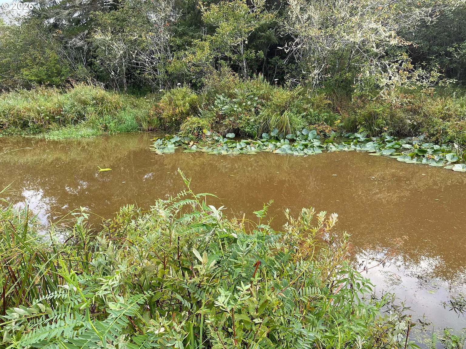 NNA Dellmoor Loop