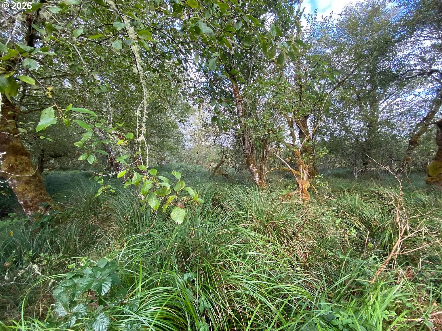 NNA Dellmoor Loop