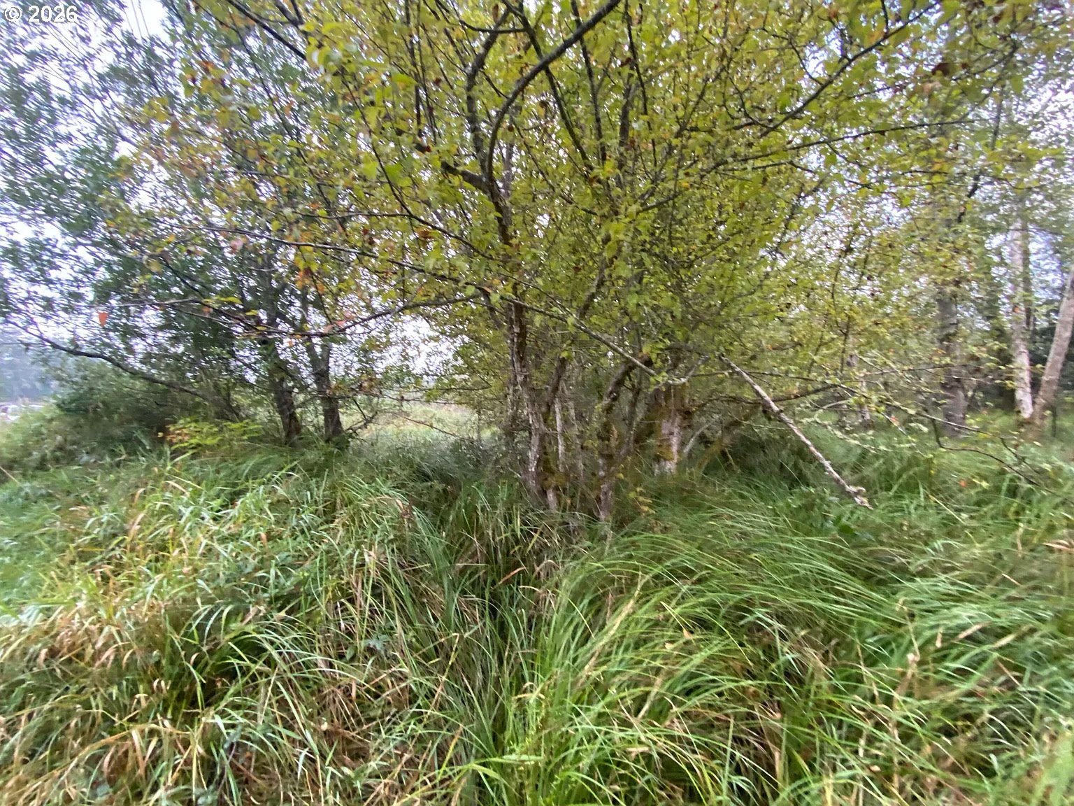 NNA Dellmoor Loop